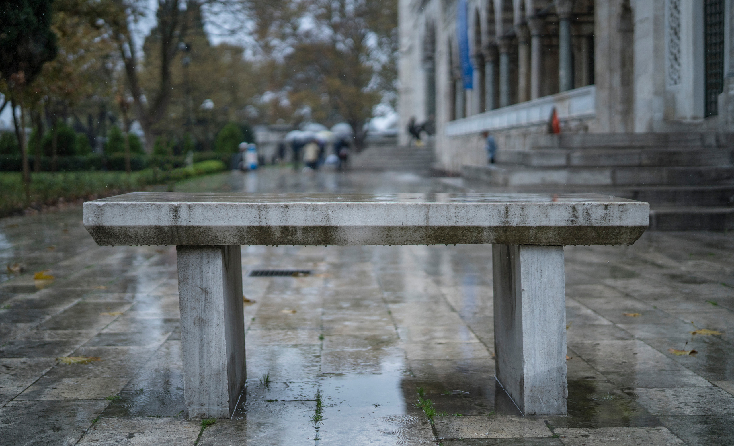 Стамбул (ноябрь 2018). Фотограф Сергей Танков