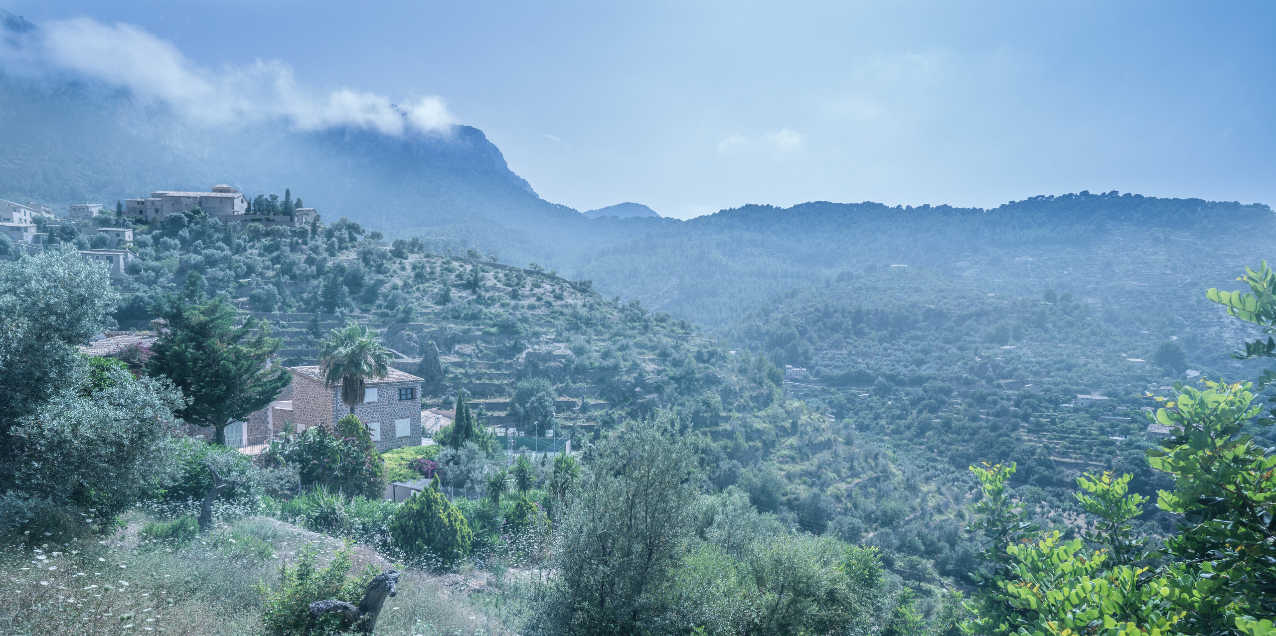 Майорка (июль 2018). Фотограф Сергей Танков