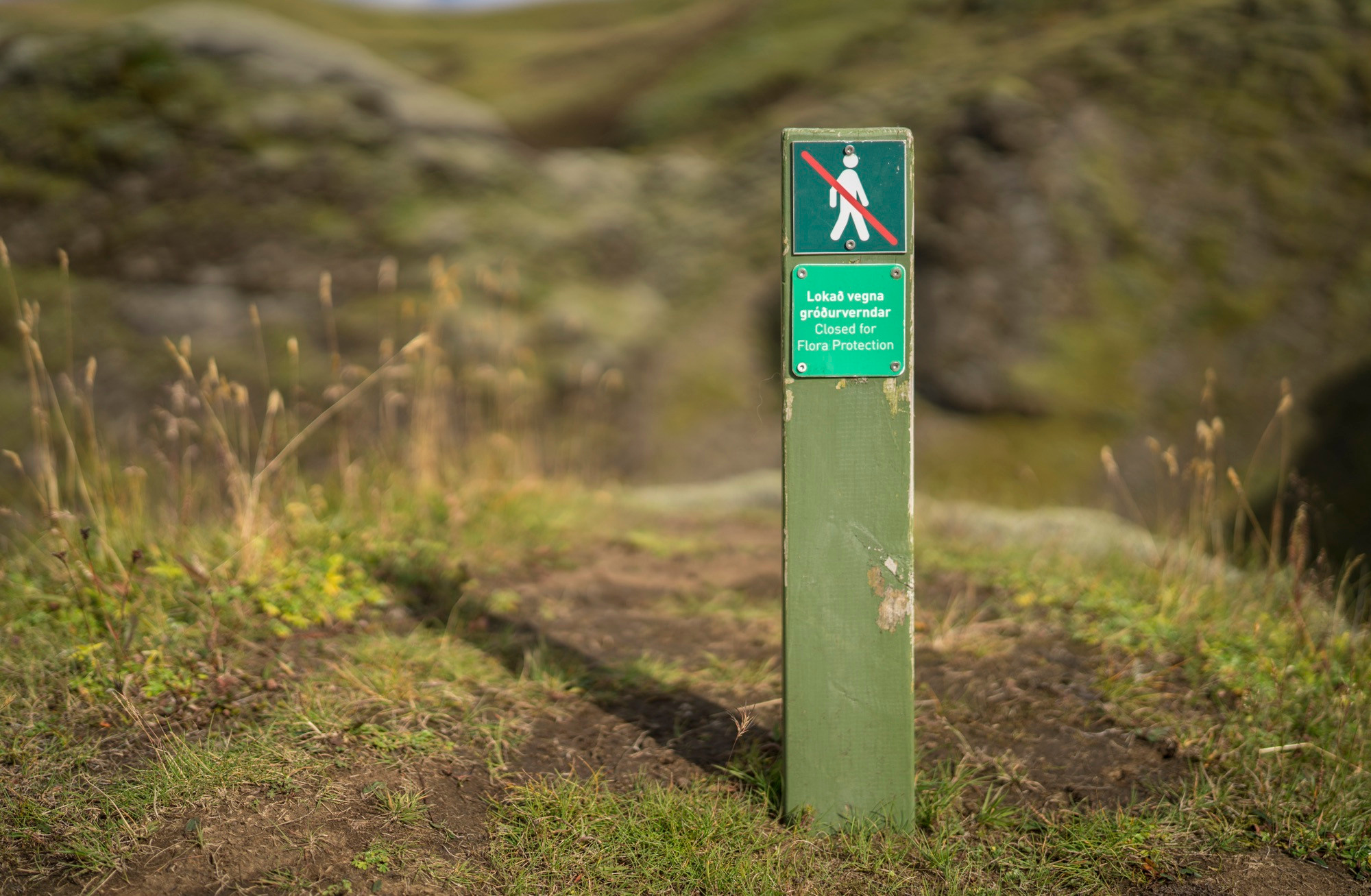 Исландия (август 2018). Фотограф Сергей Танков