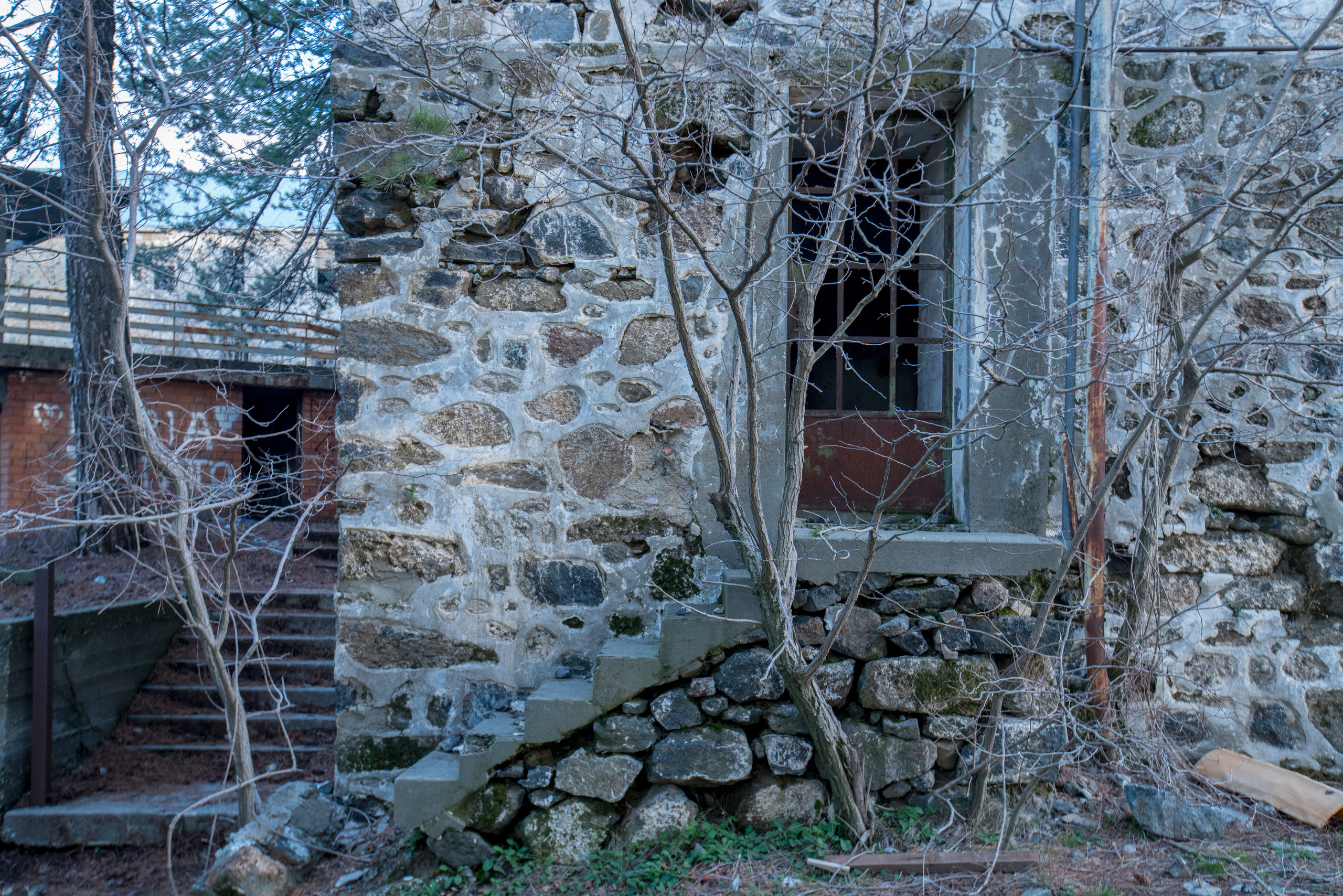 Кипр (январь 2018). Фотограф Сергей Танков