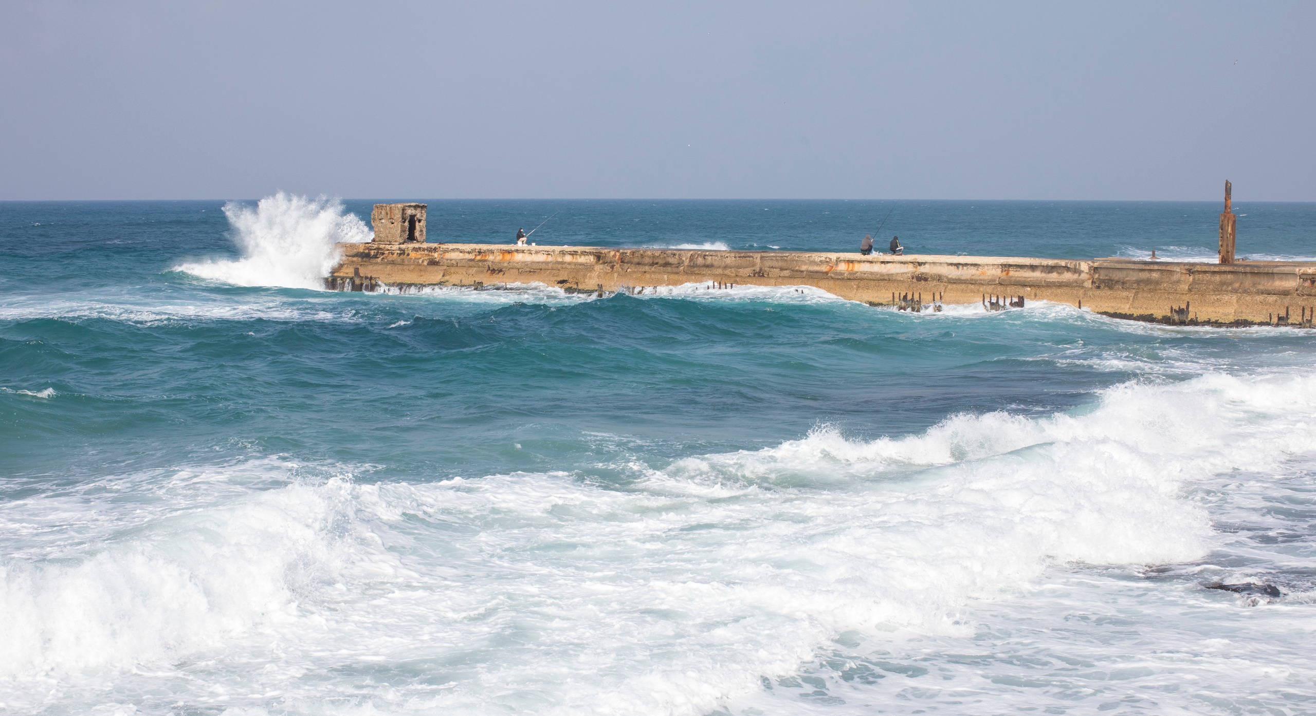 Израиль (январь 2017). Фотограф Сергей Танков