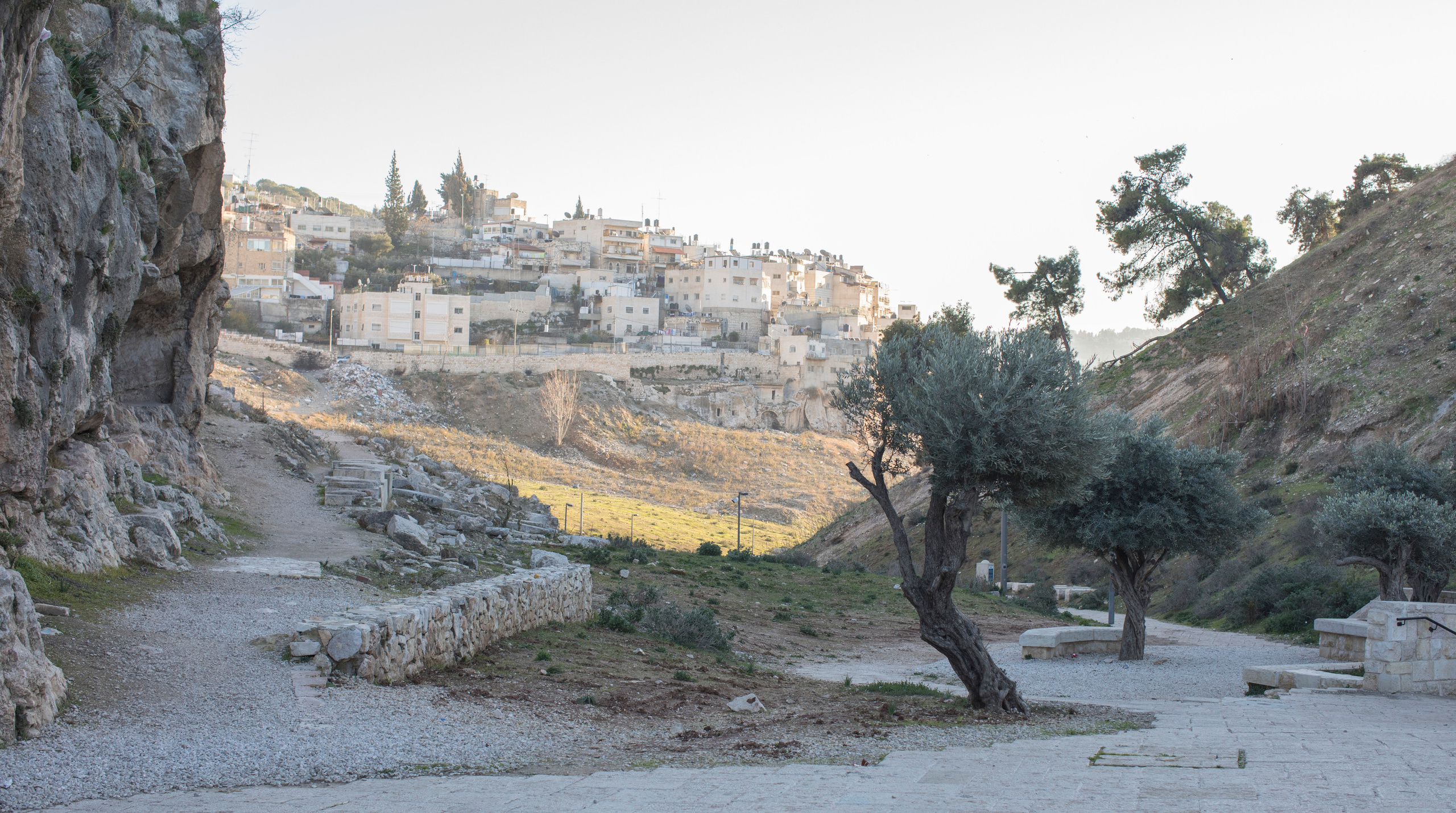 Израиль (январь 2017). Фотограф Сергей Танков