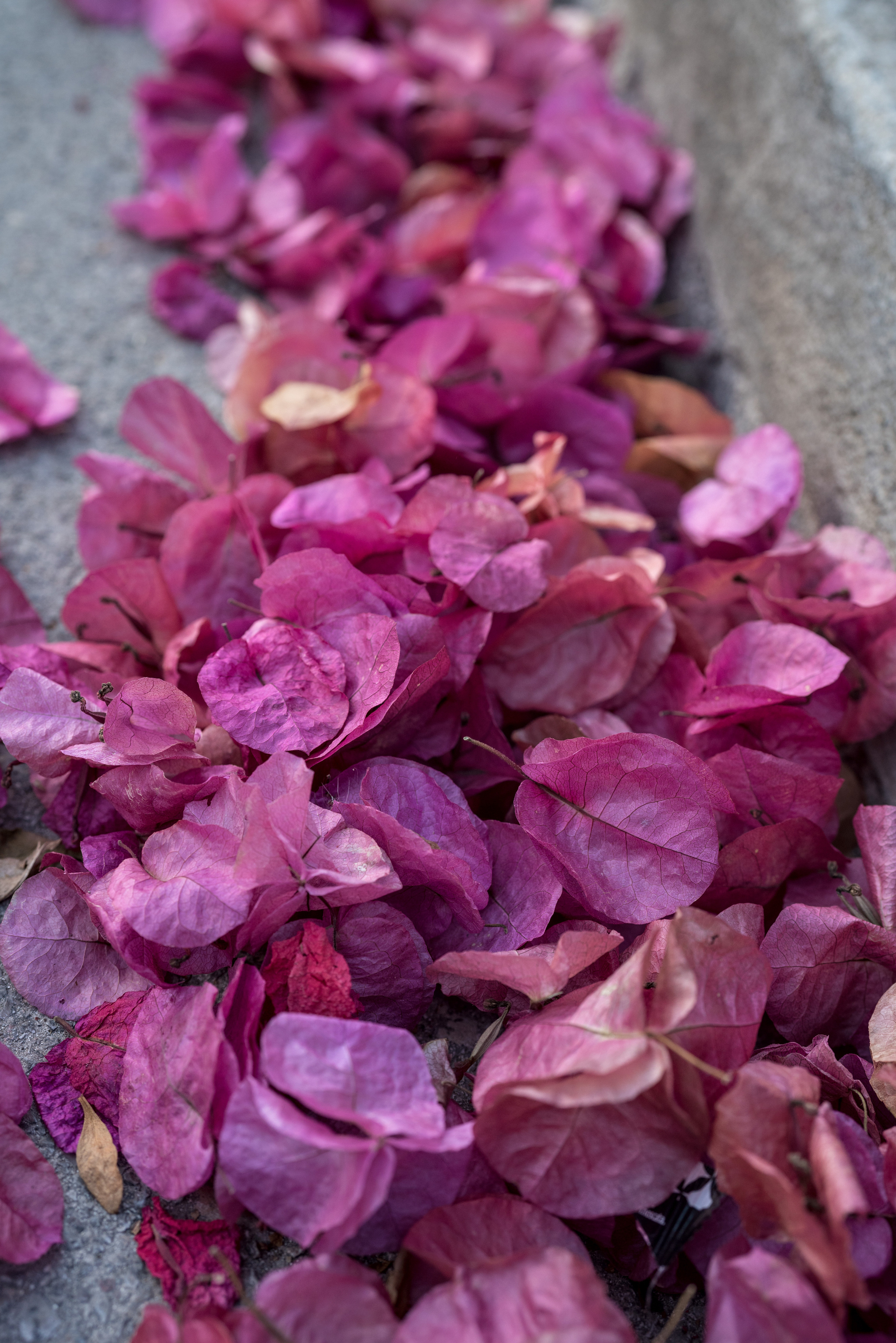 Майорка (июль 2018). Фотограф Сергей Танков