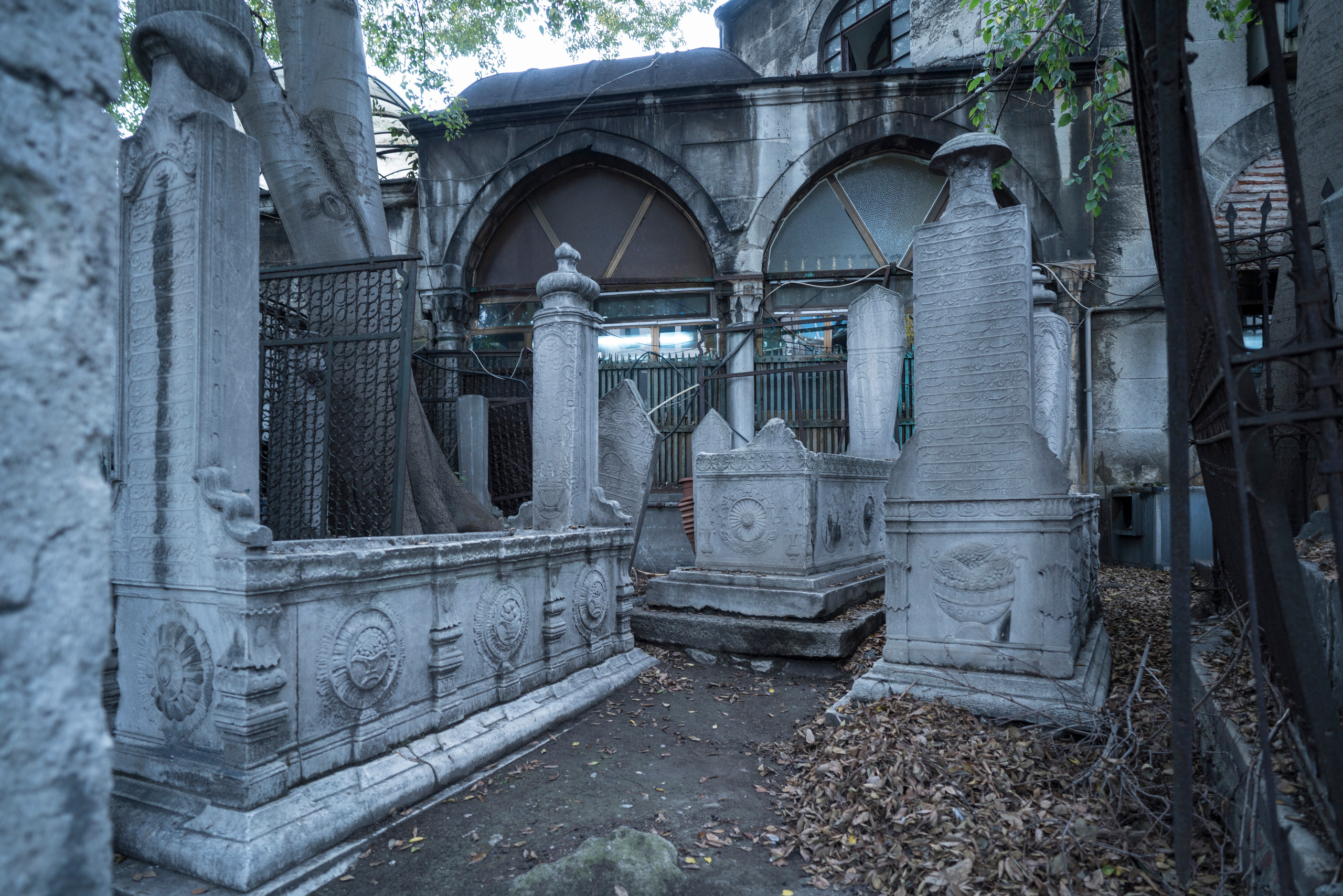 Стамбул (ноябрь 2018). Фотограф Сергей Танков