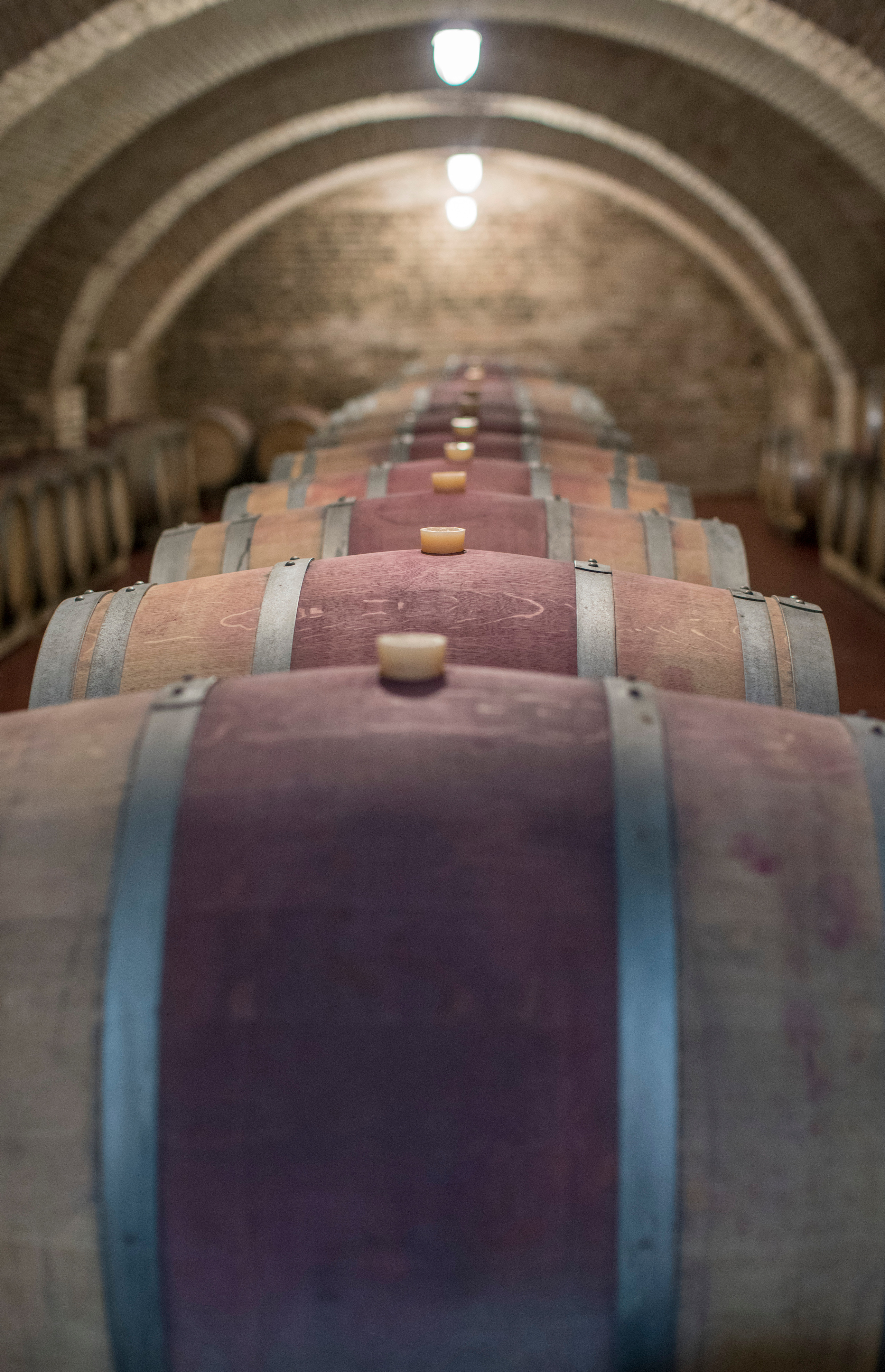 Грузия (декабрь 2017). Фотограф Сергей Танков