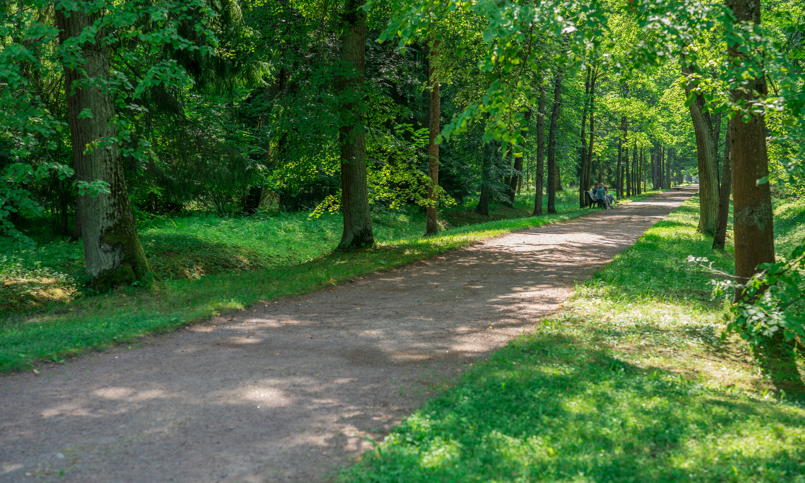 Питер (июль 2018). Фотограф Сергей Танков