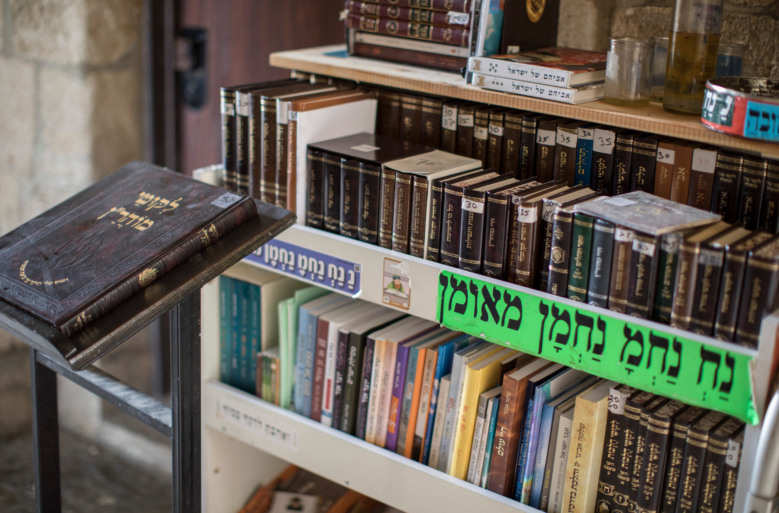 Израиль (январь 2017). Фотограф Сергей Танков