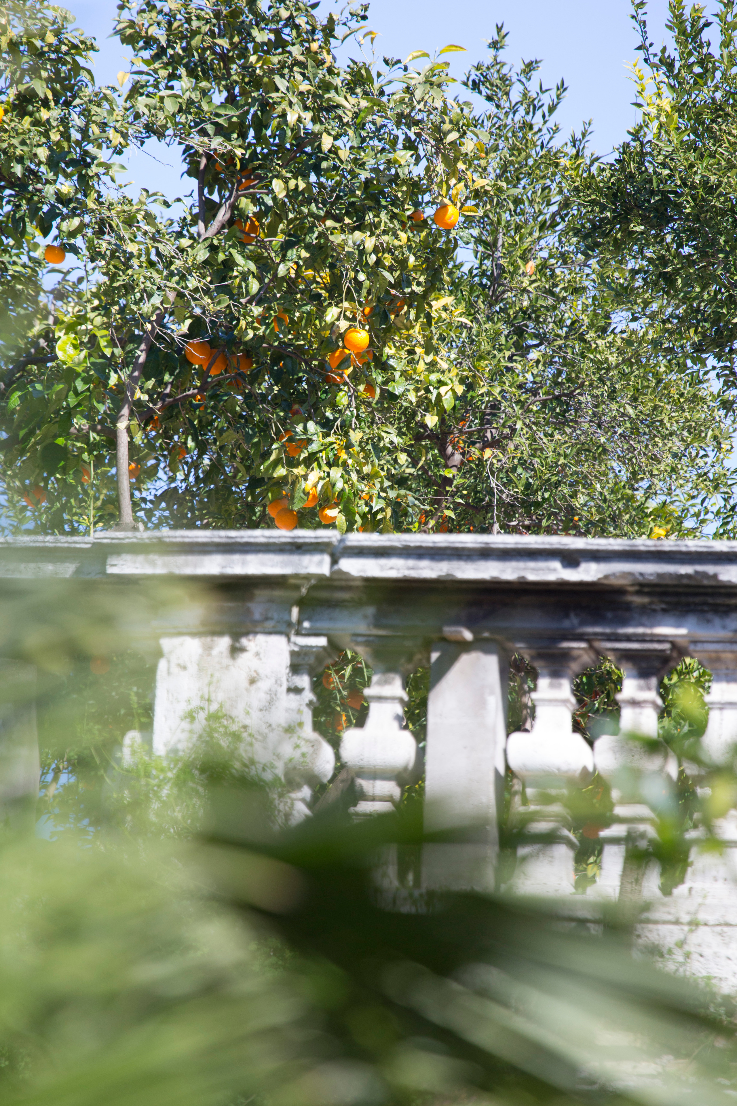 Рим (март 2015). Фотограф Сергей Танков