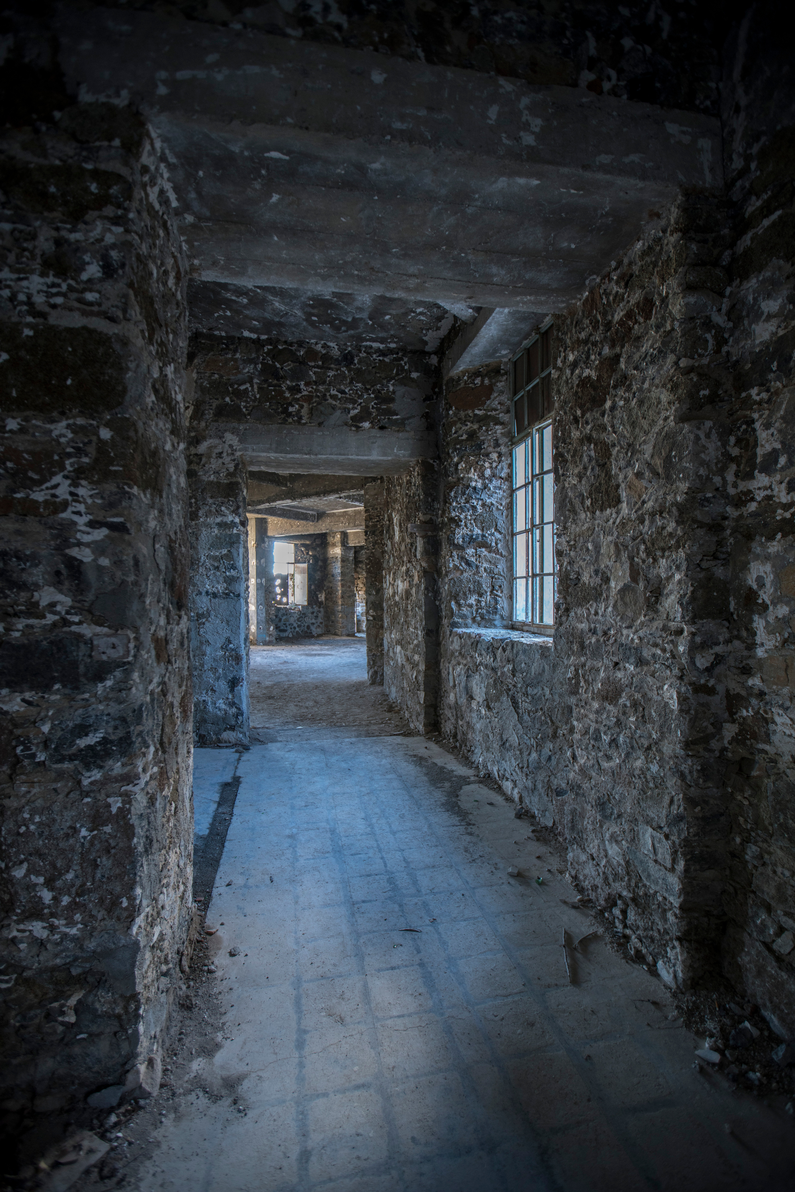 Кипр (январь 2018). Фотограф Сергей Танков