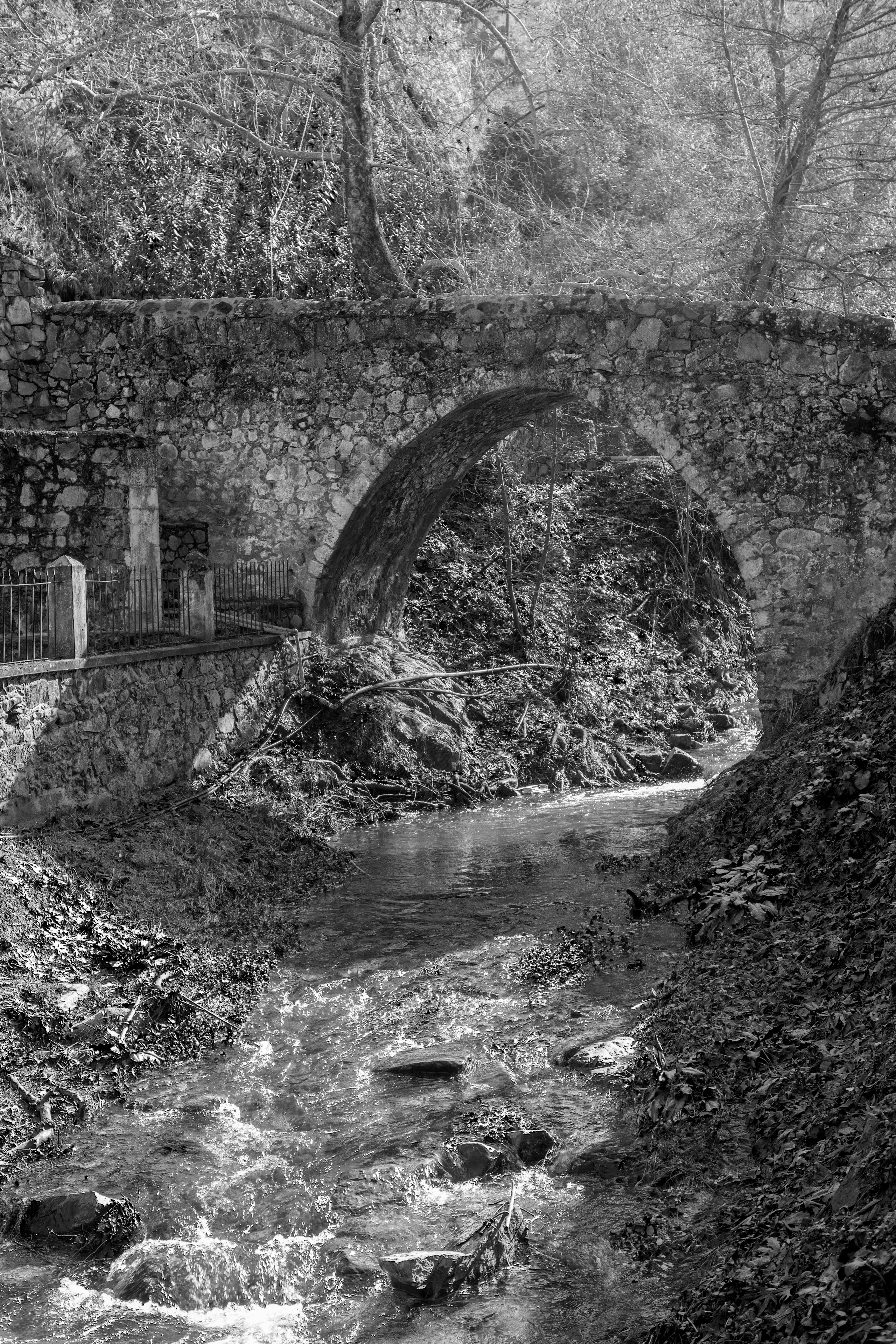 Кипр (январь 2018). Фотограф Сергей Танков