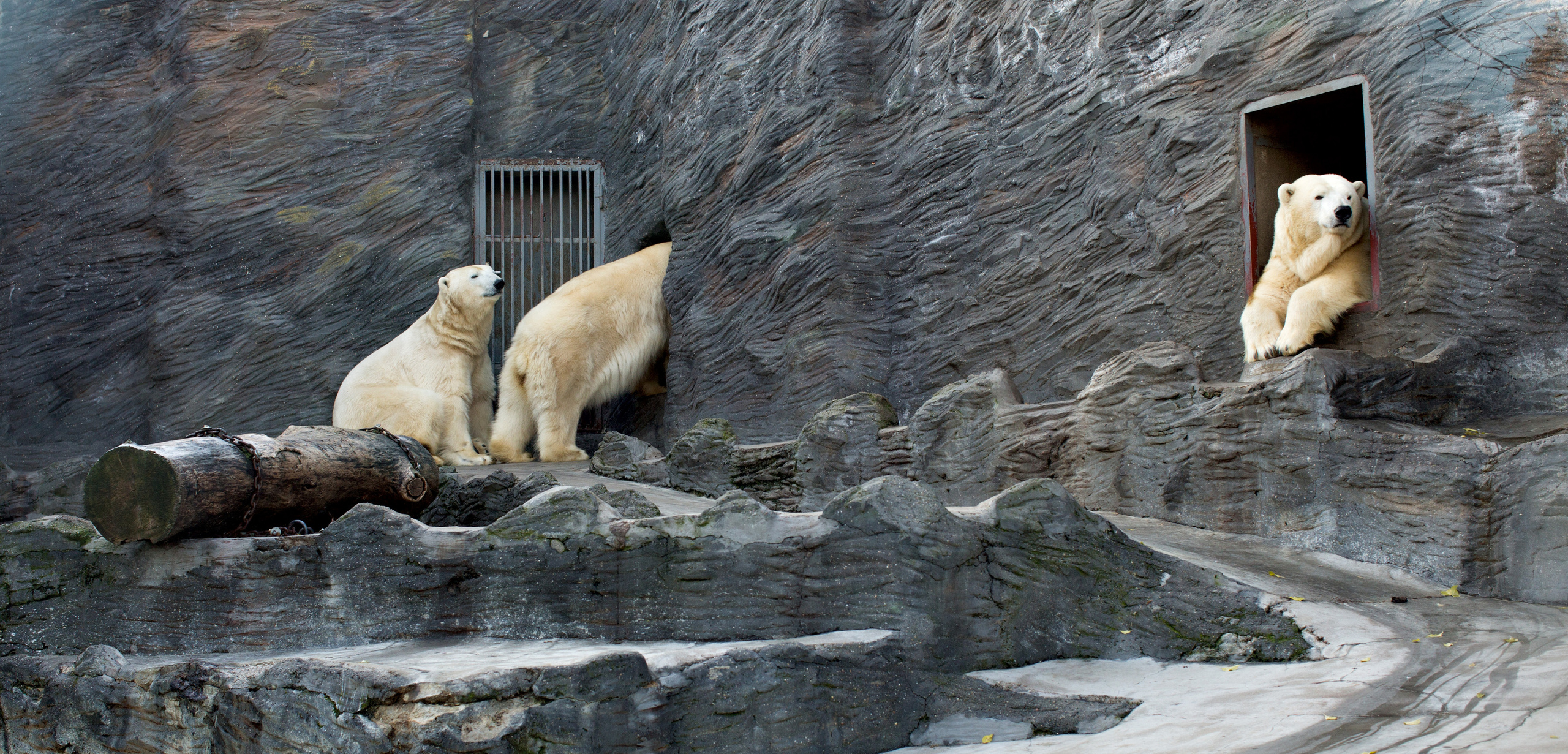 Прага (декабрь 2013). Фотограф Сергей Танков