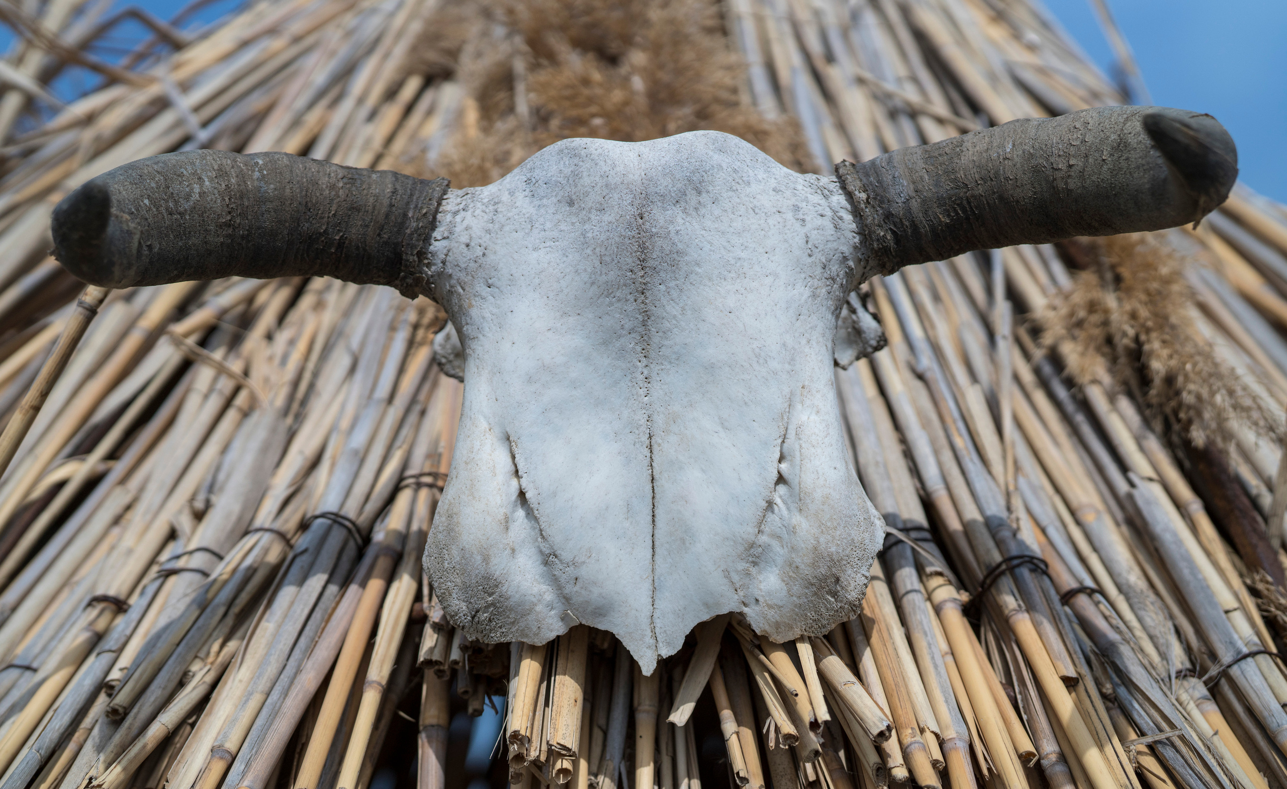 Азербайджан (апрель 2018). Фотограф Сергей Танков
