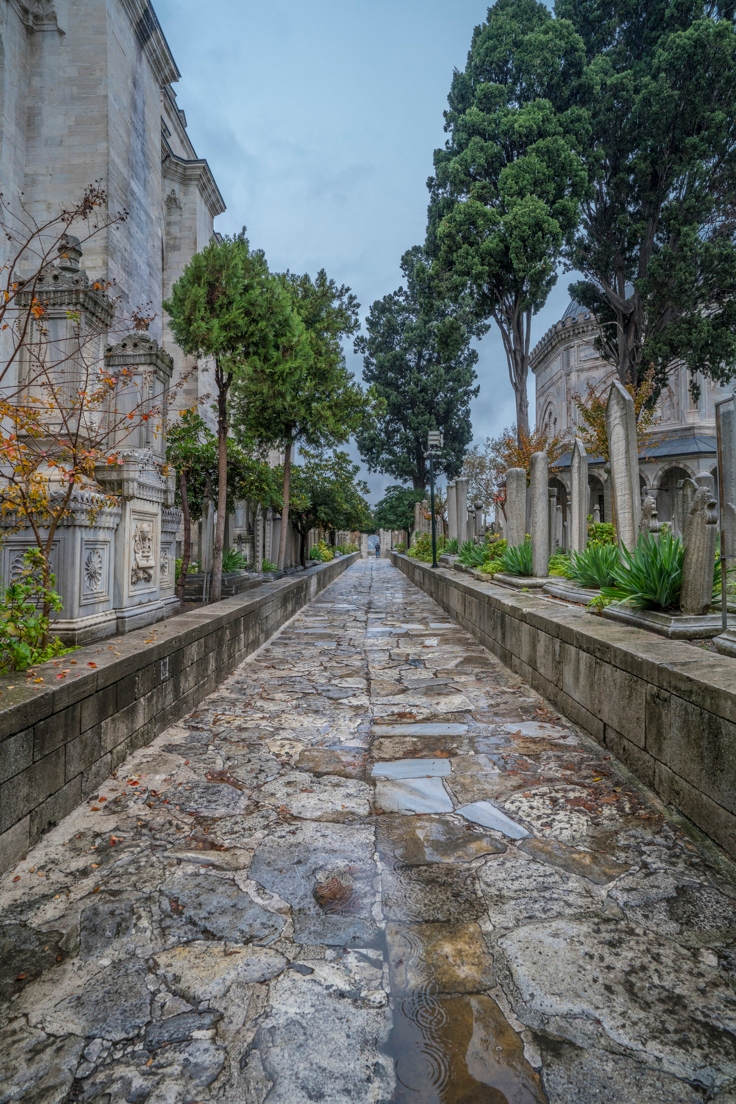 Стамбул (ноябрь 2018). Фотограф Сергей Танков
