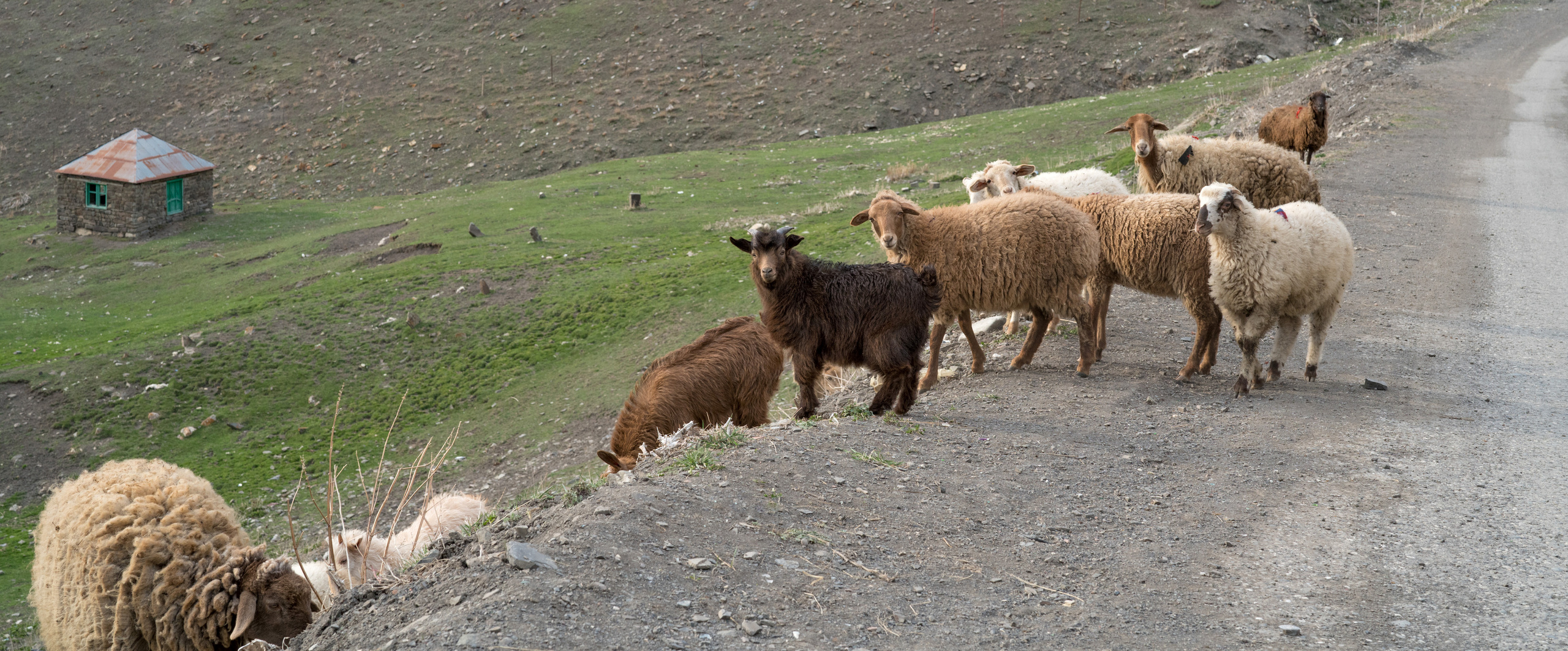 Азербайджан (апрель 2018). Фотограф Сергей Танков
