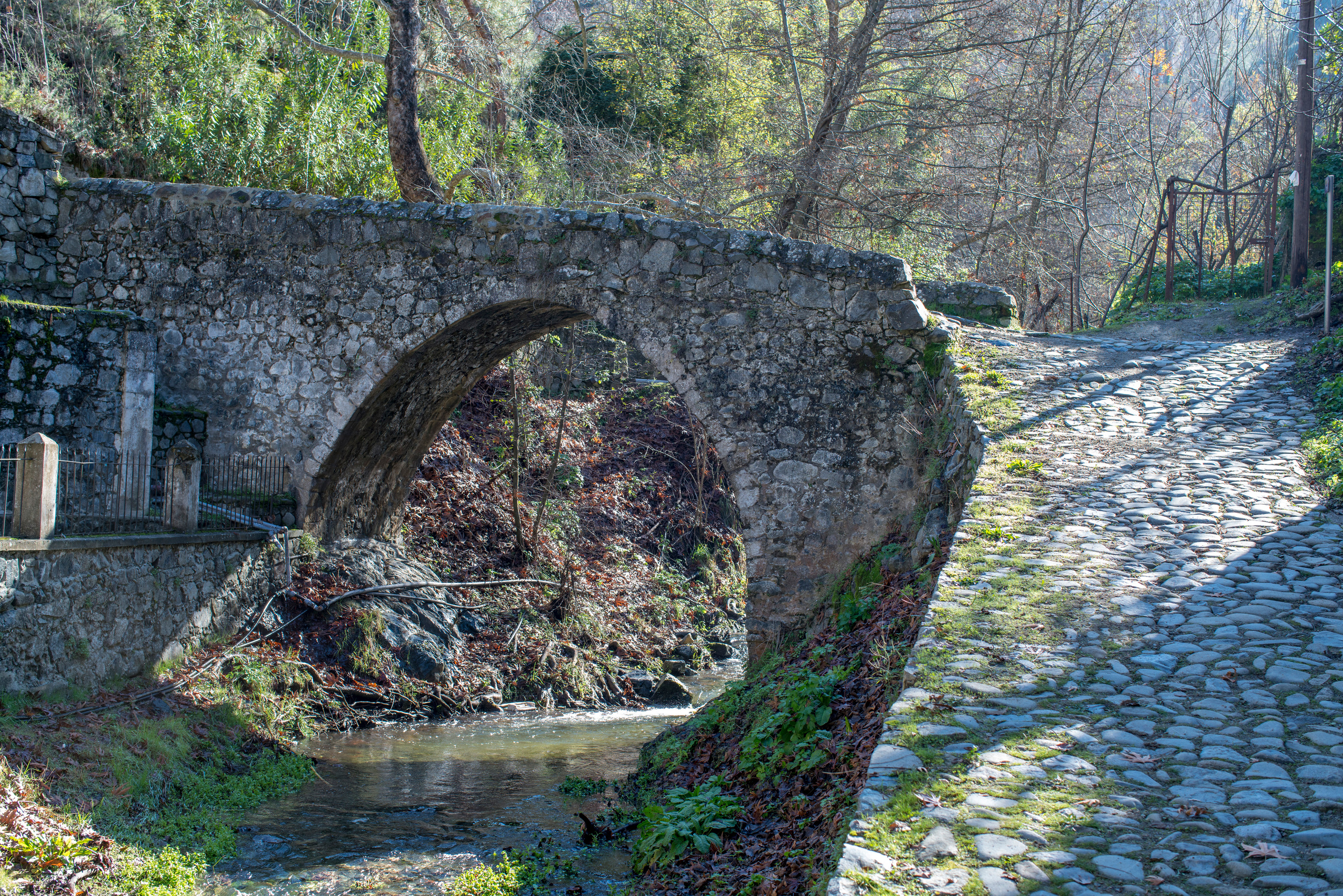 Кипр (январь 2018). Фотограф Сергей Танков