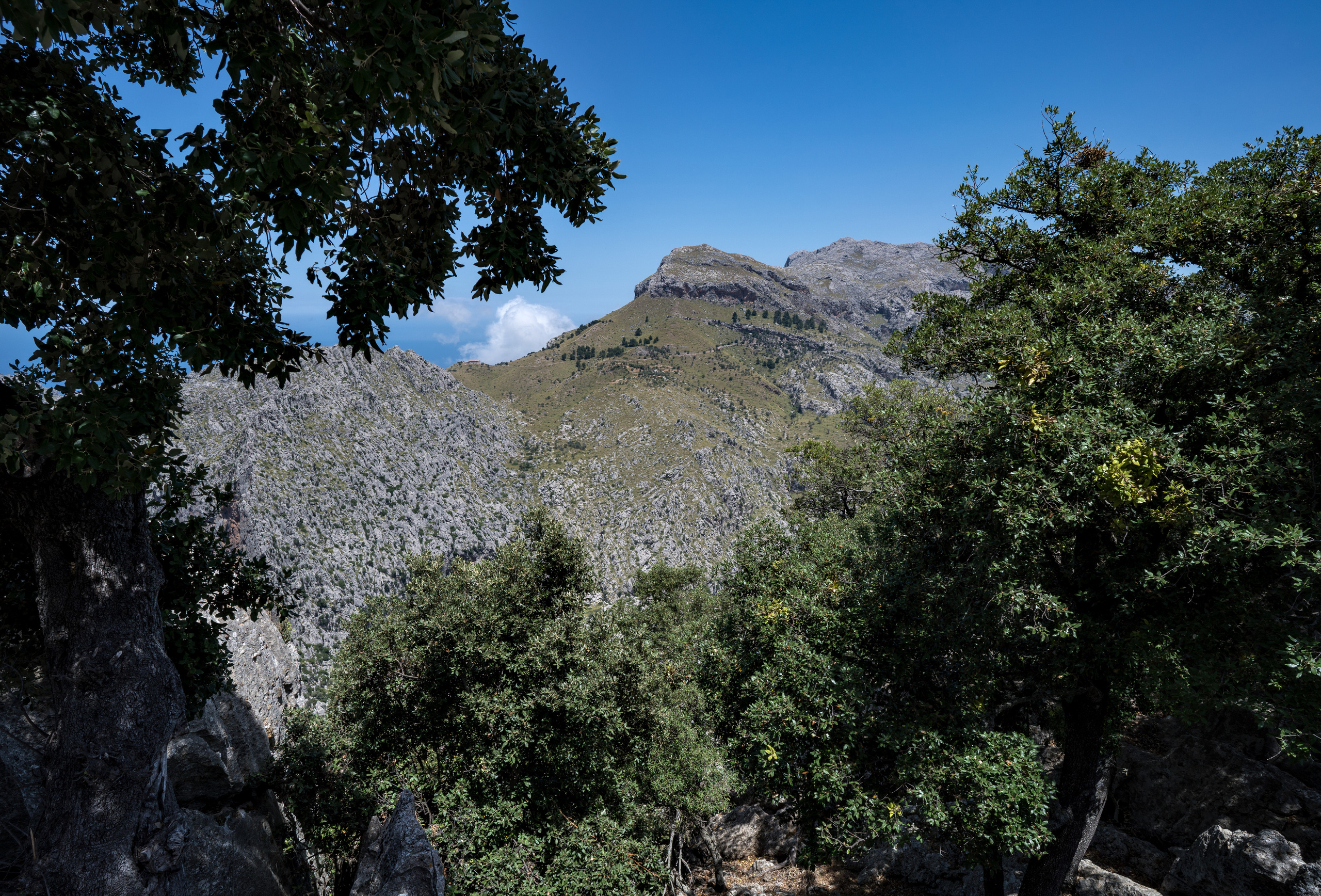 Майорка (июль 2018). Фотограф Сергей Танков