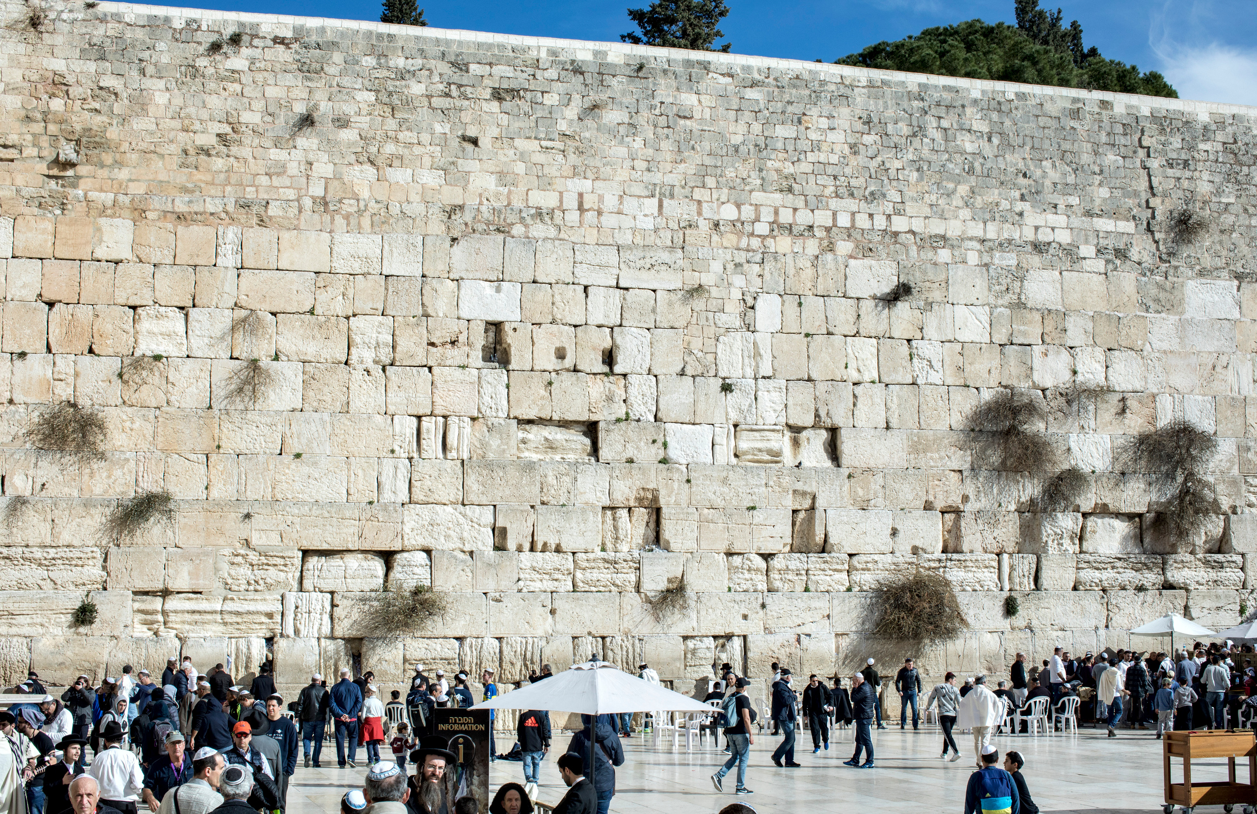 Израиль (январь 2017). Фотограф Сергей Танков