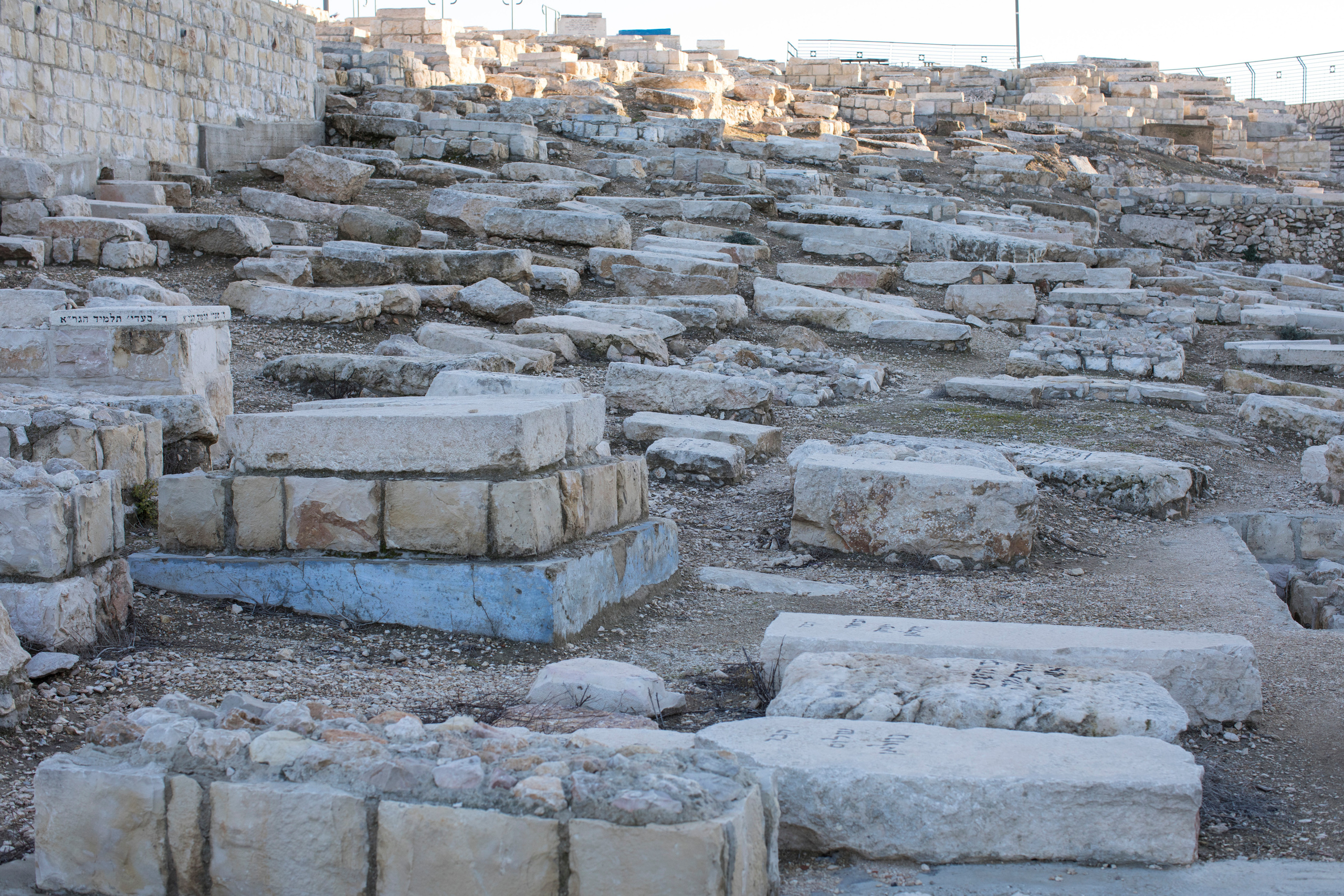 Израиль (январь 2017). Фотограф Сергей Танков