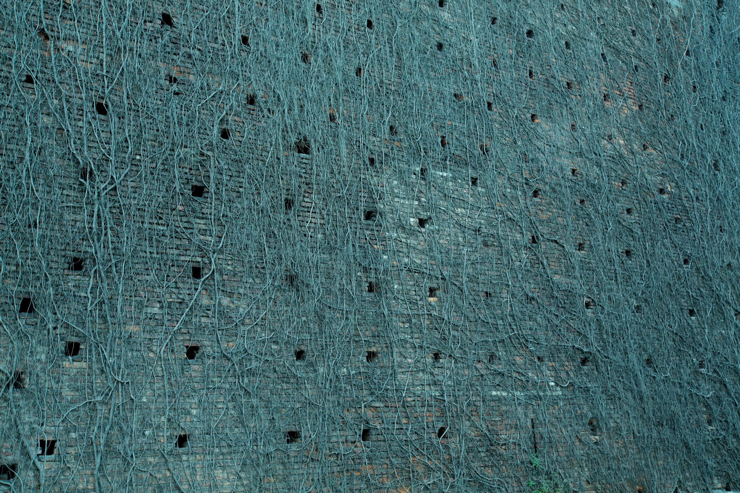 Милан (ноябрь 2014). Фотограф Сергей Танков