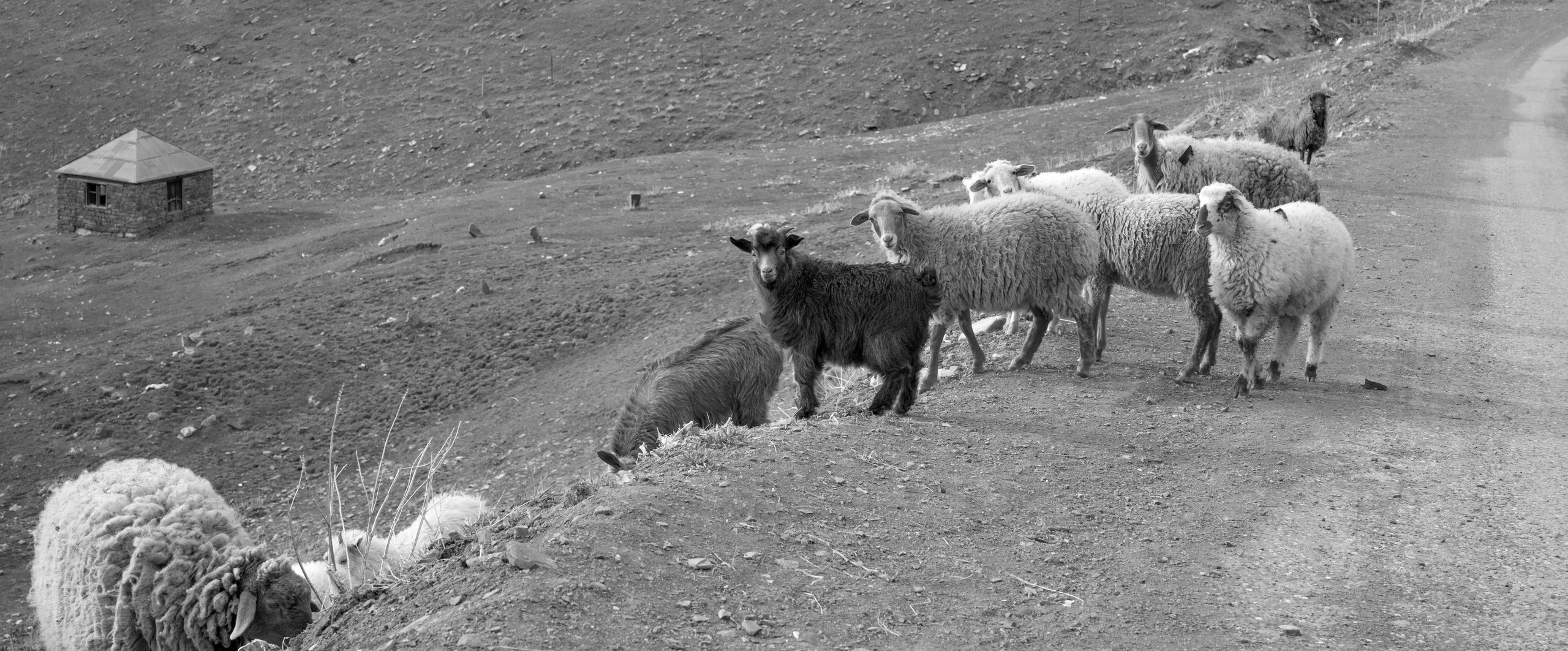 Азербайджан (апрель 2018). Фотограф Сергей Танков