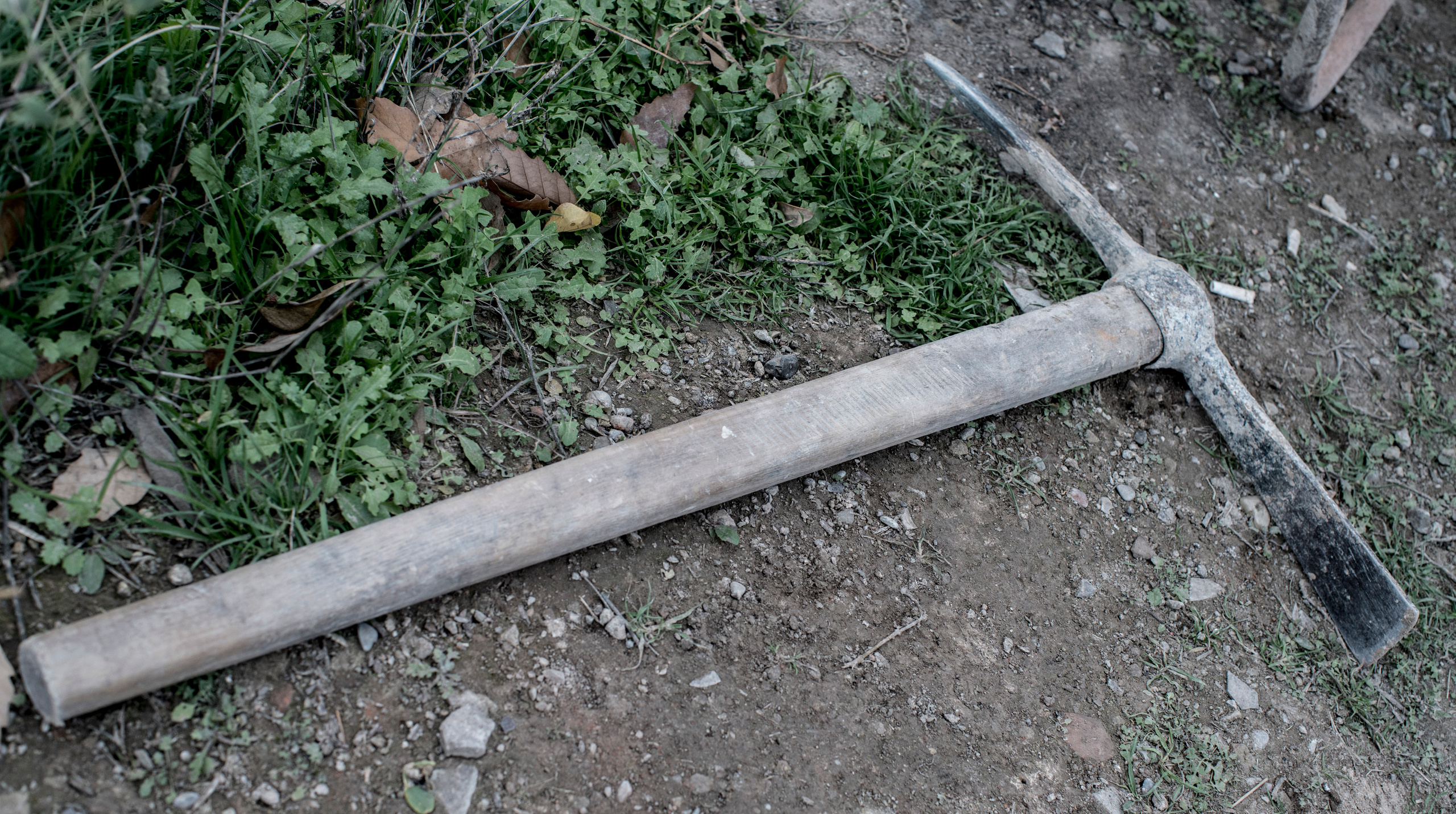 Грузия (декабрь 2017). Фотограф Сергей Танков