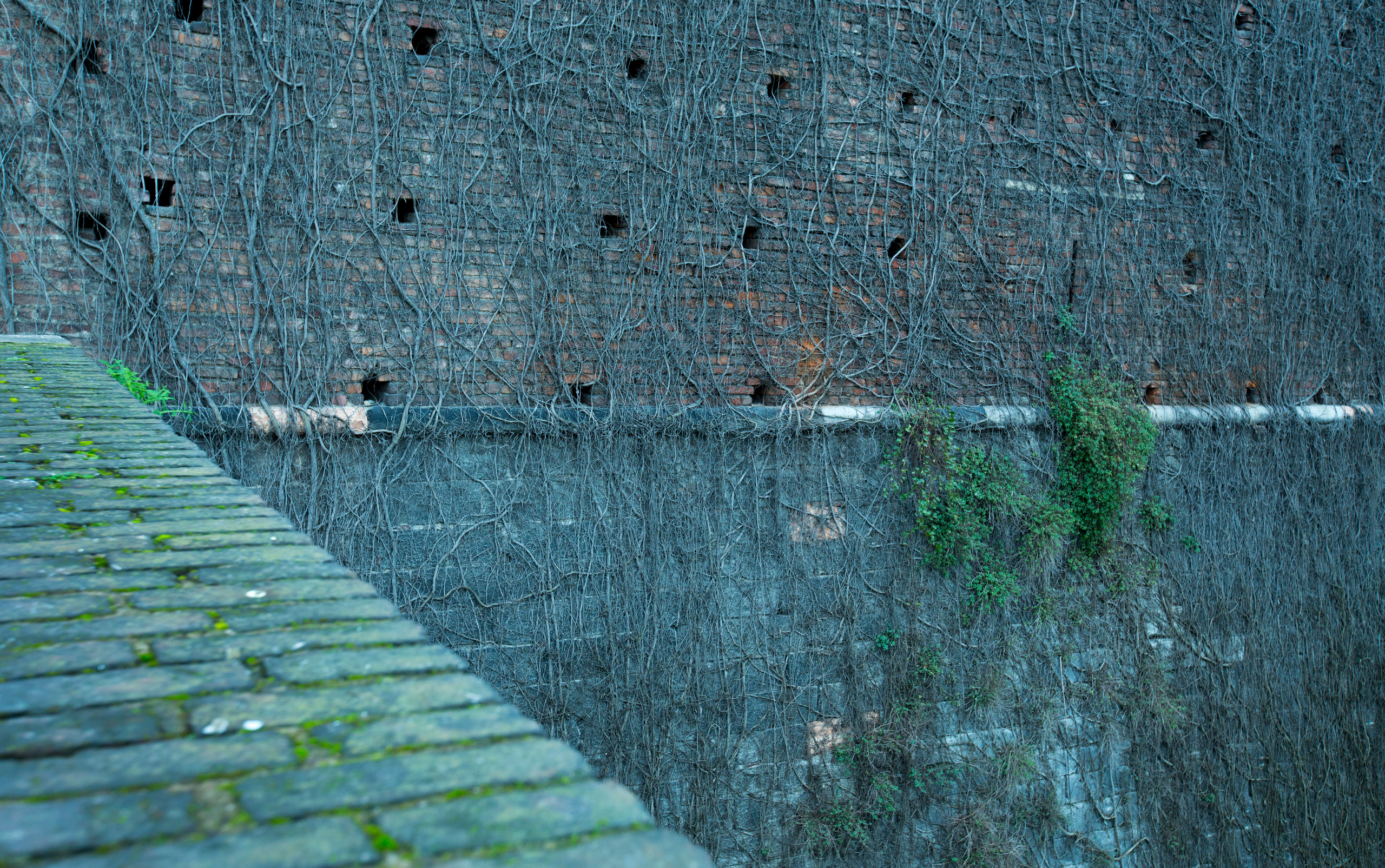 Милан (ноябрь 2014). Фотограф Сергей Танков