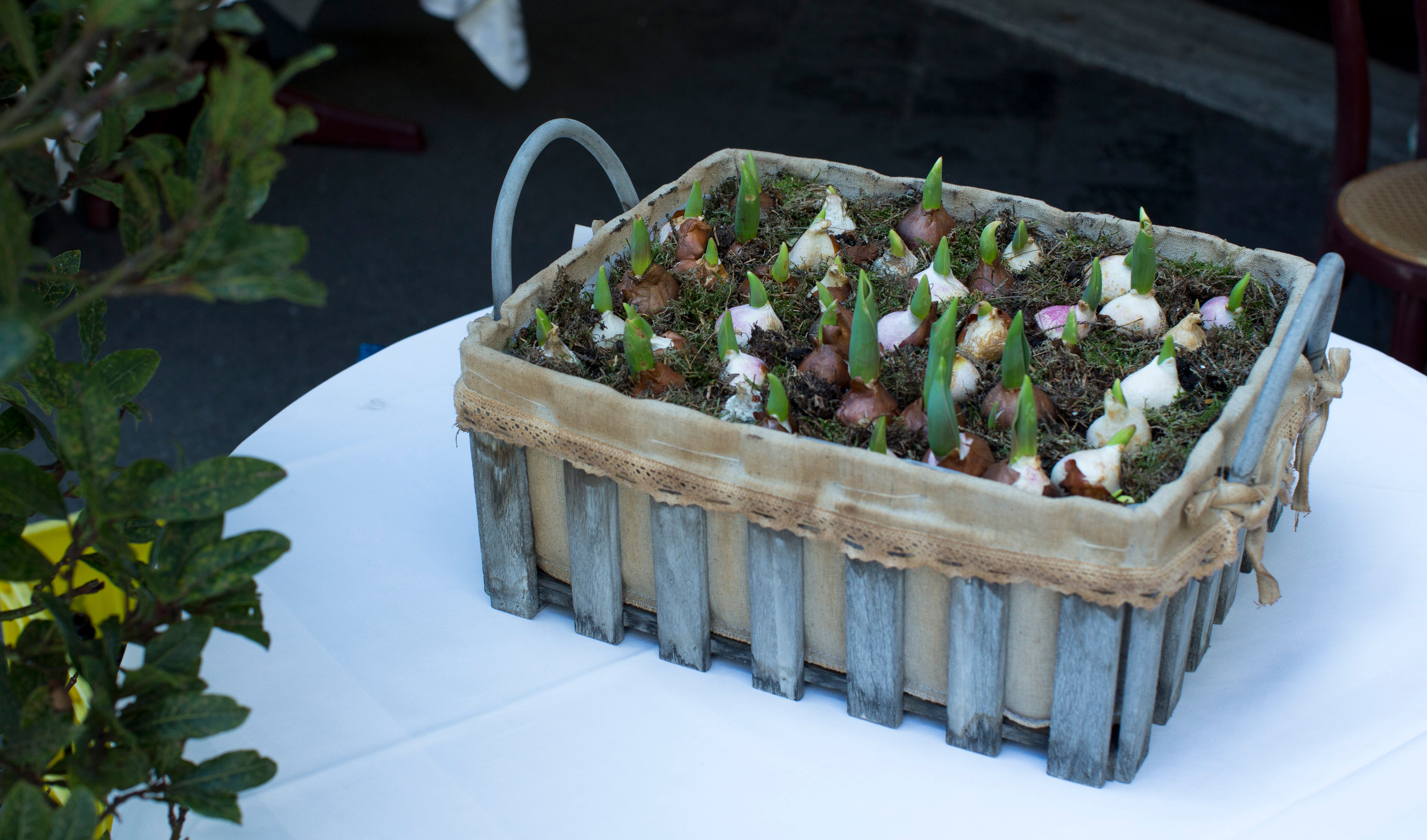 Рим (март 2015). Фотограф Сергей Танков