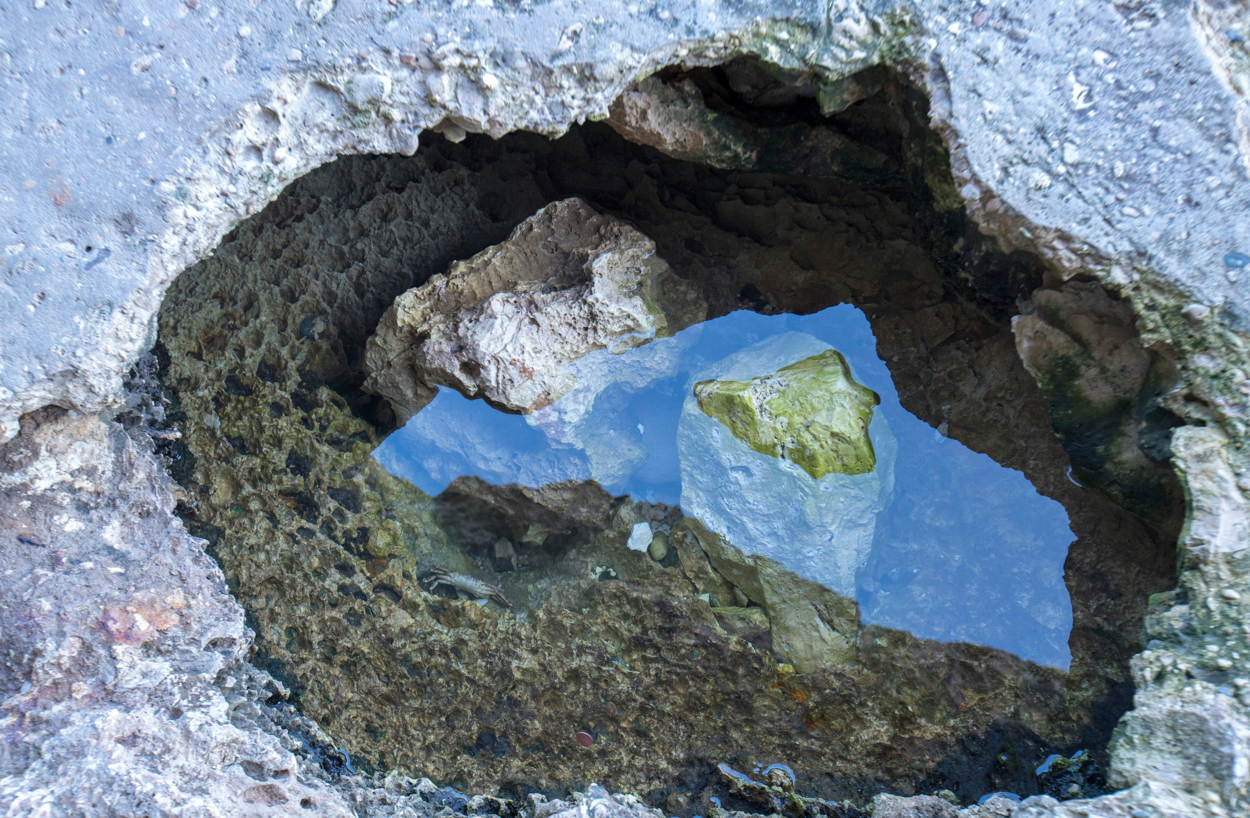 Кипр (январь 2018). Фотограф Сергей Танков