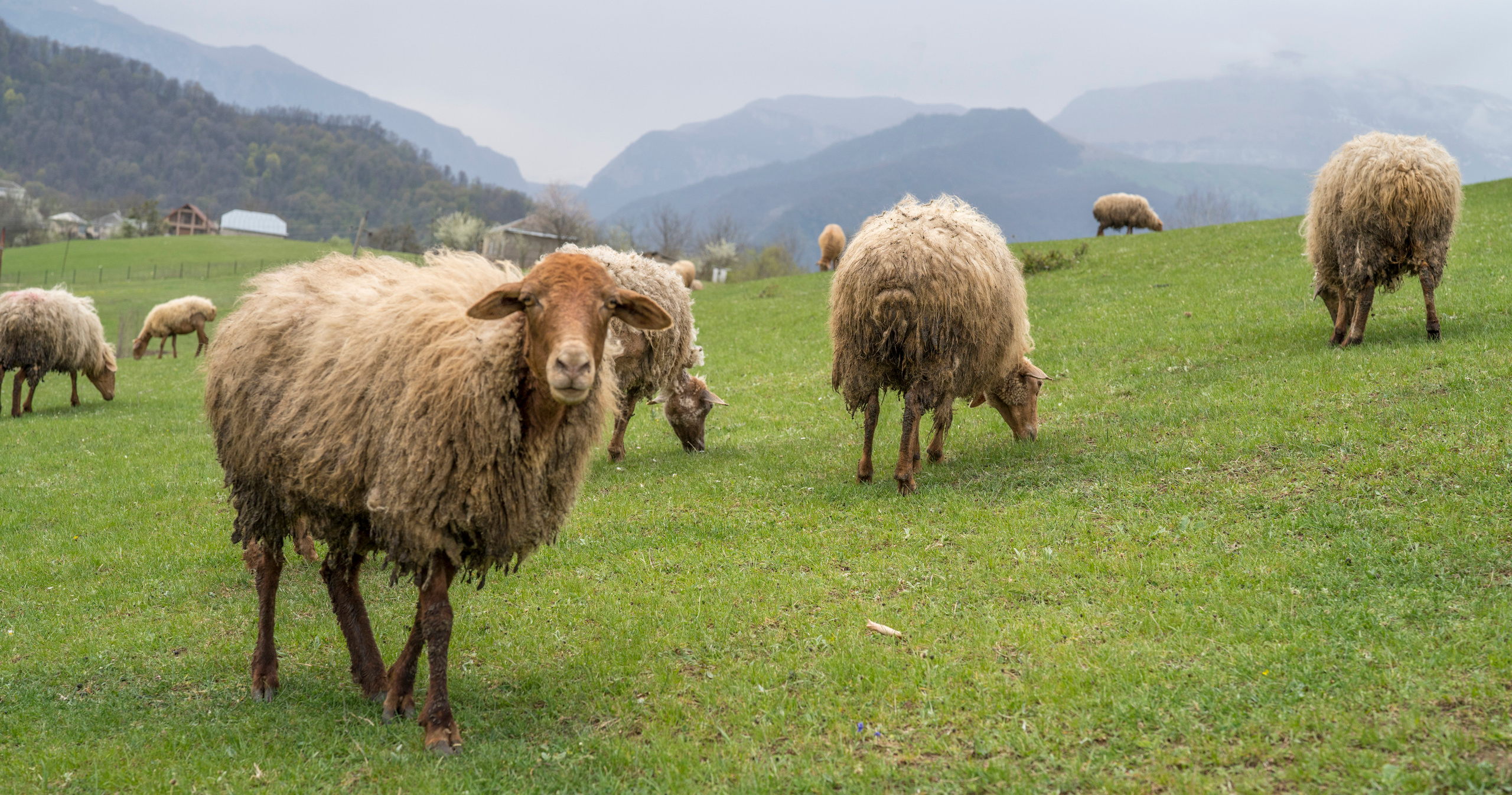 Азербайджан (апрель 2018). Фотограф Сергей Танков