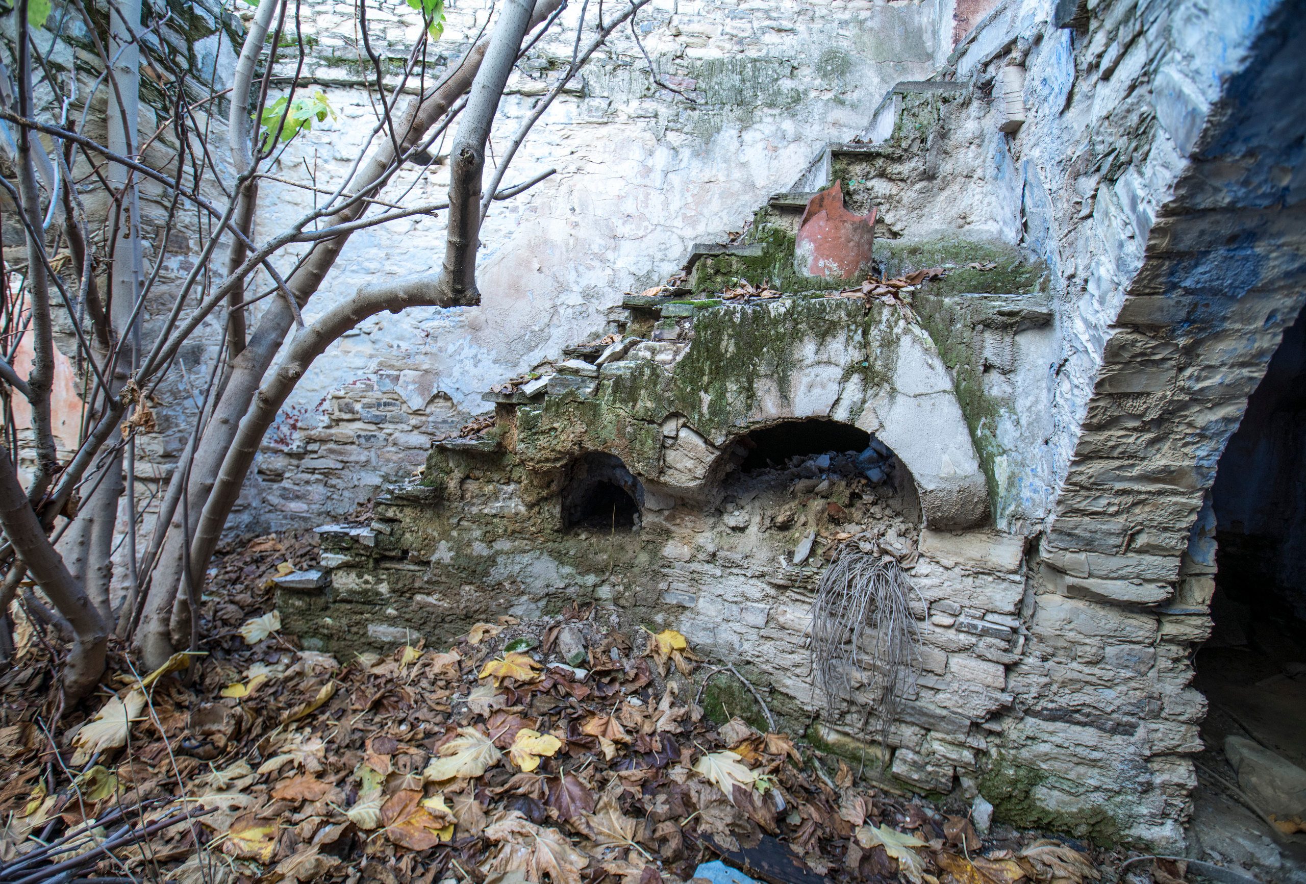 Кипр (январь 2018). Фотограф Сергей Танков