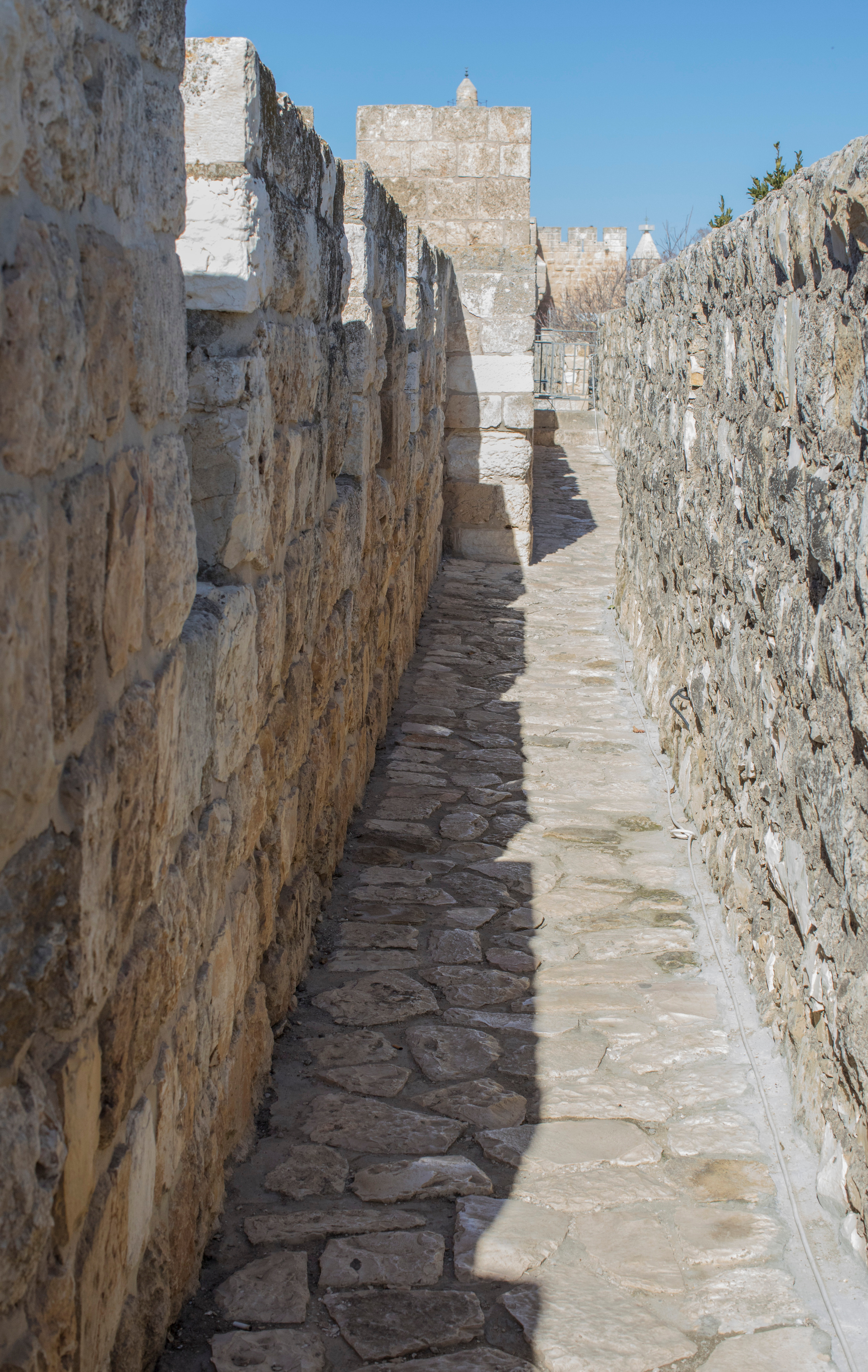 Израиль (январь 2017). Фотограф Сергей Танков