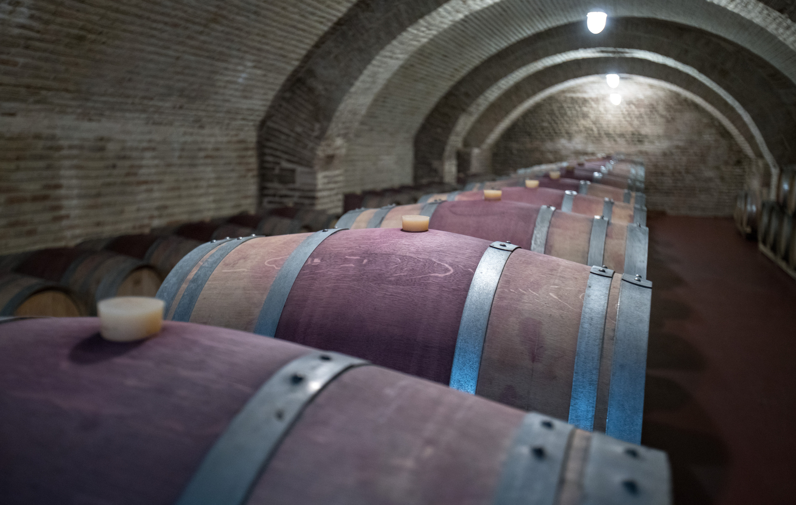 Грузия (декабрь 2017). Фотограф Сергей Танков