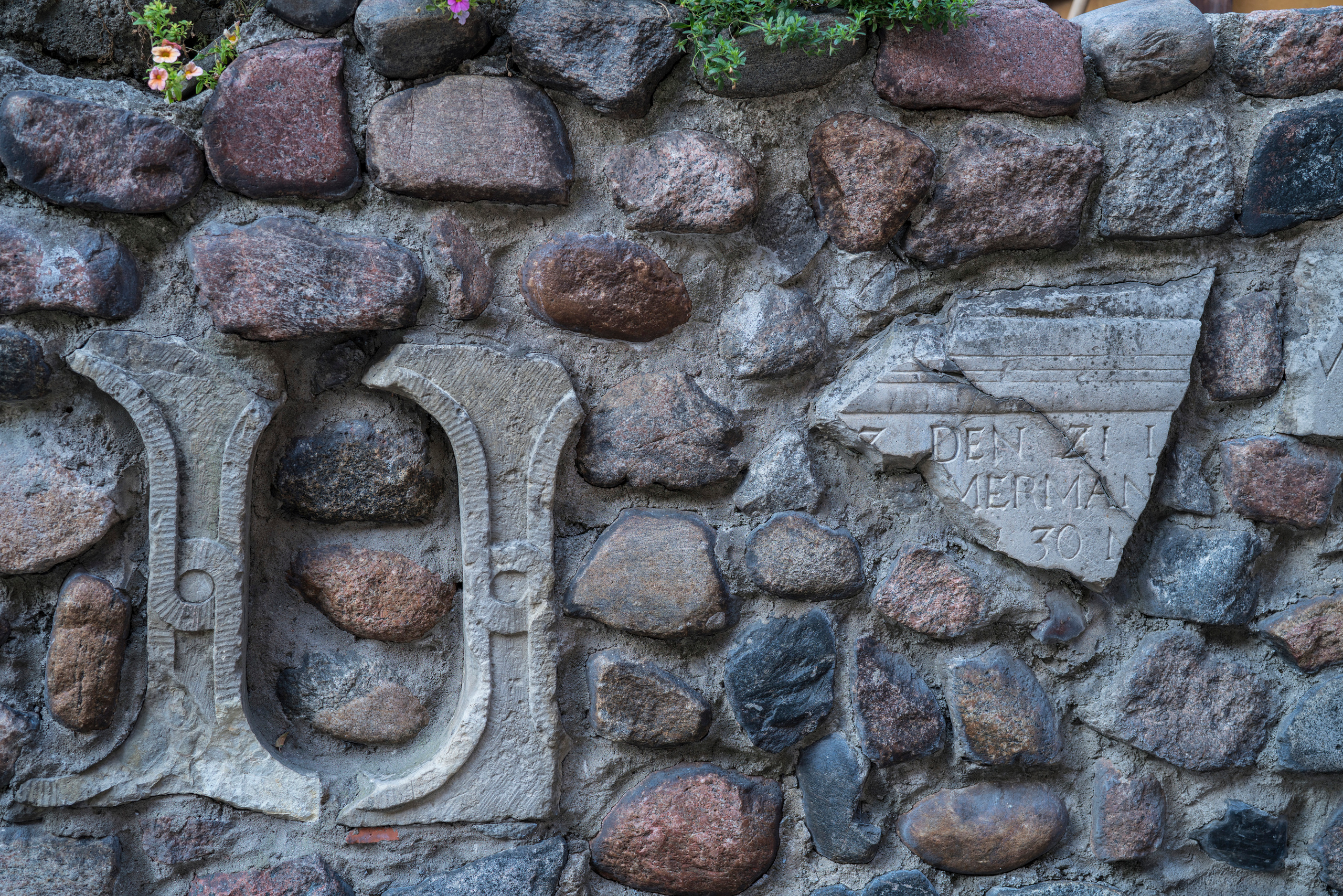 Рига (август 2018). Фотограф Сергей Танков
