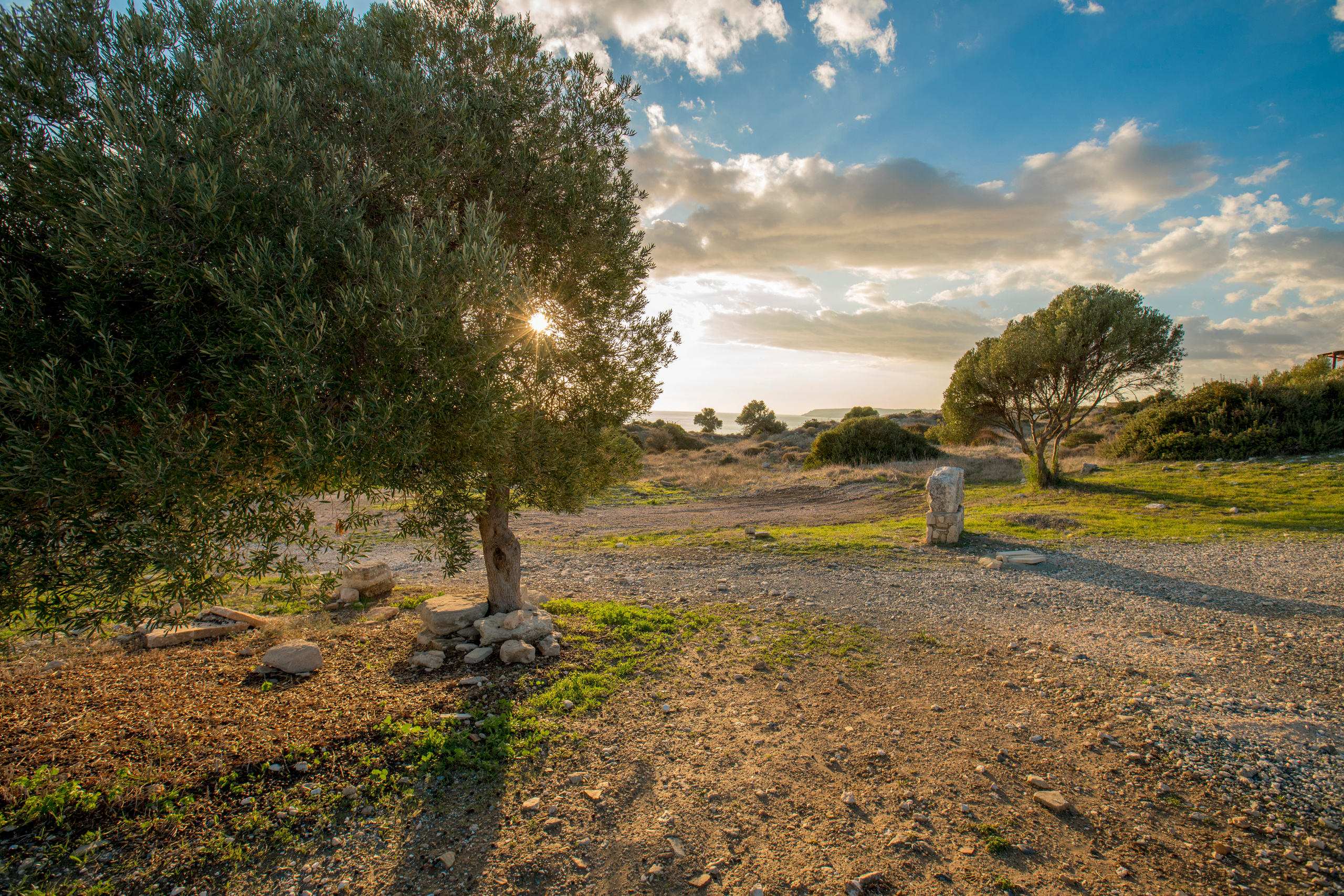Кипр (январь 2018). Фотограф Сергей Танков