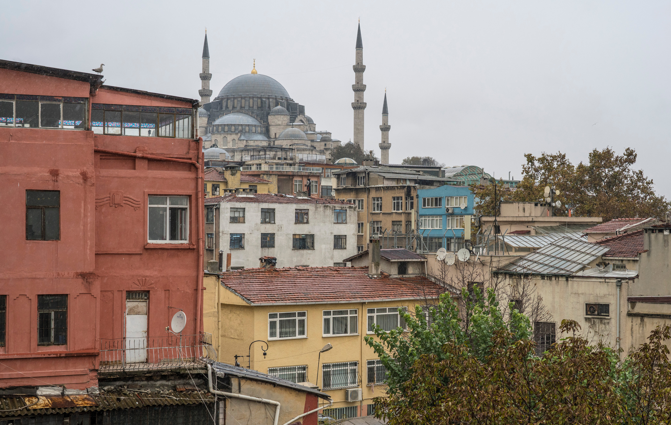 Стамбул (ноябрь 2018). Фотограф Сергей Танков