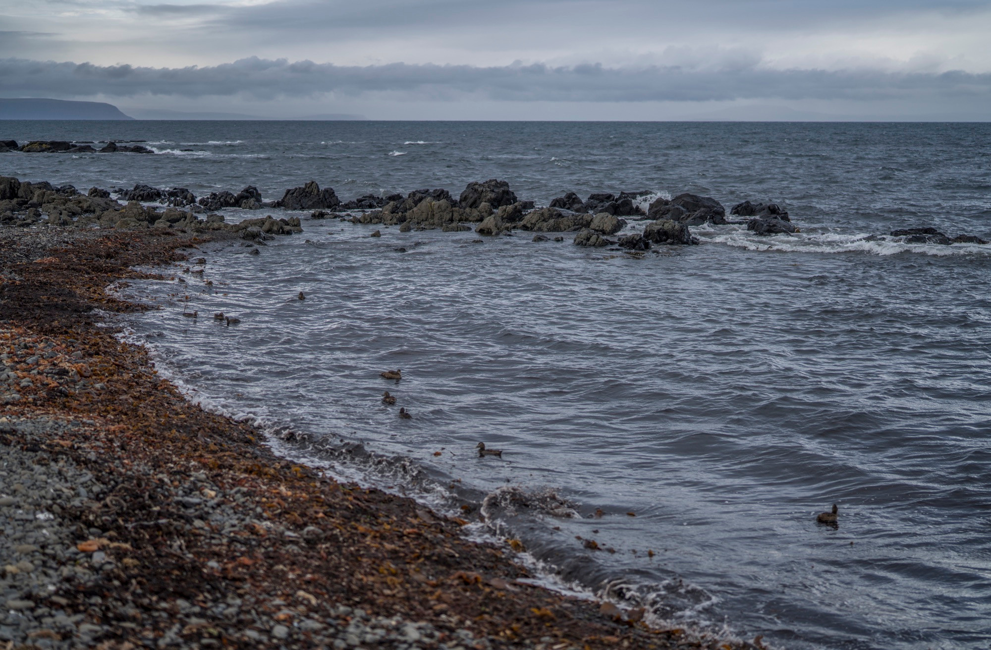 Исландия (август 2018). Фотограф Сергей Танков