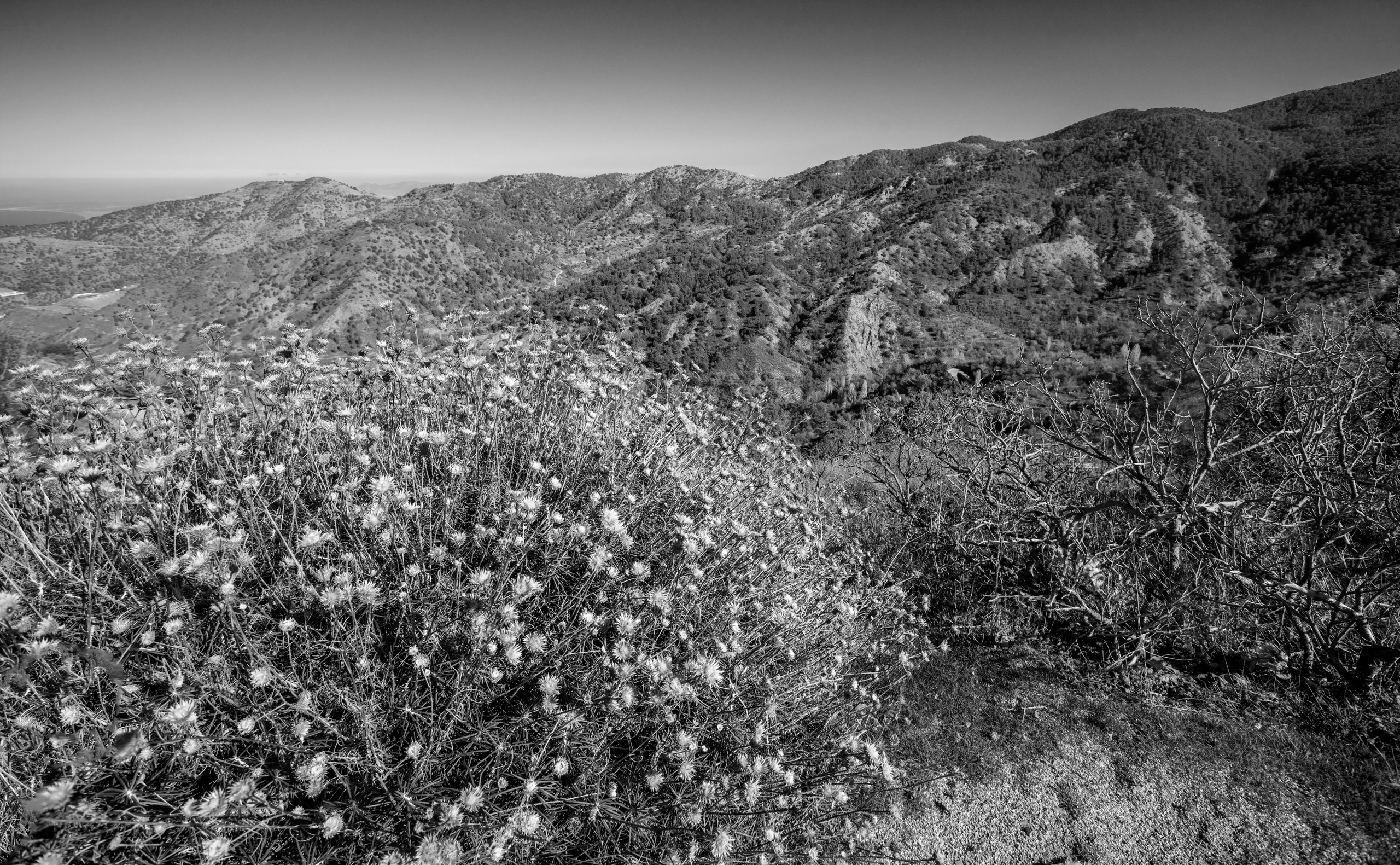 Кипр (январь 2018). Фотограф Сергей Танков