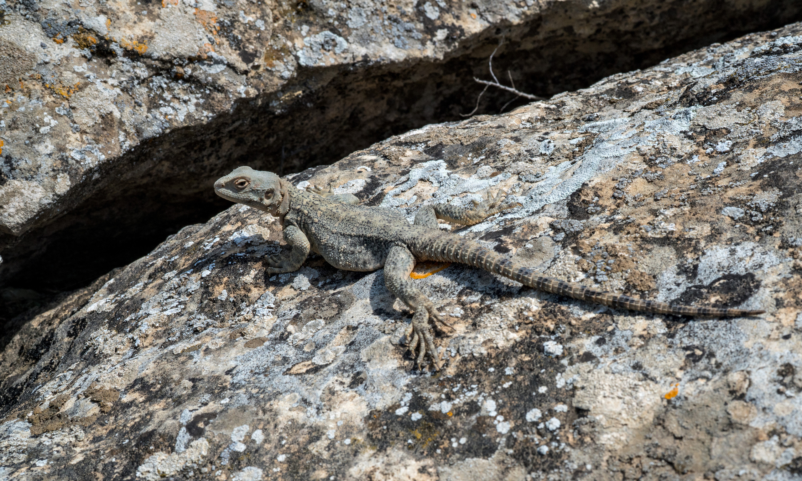 Азербайджан (апрель 2018). Фотограф Сергей Танков