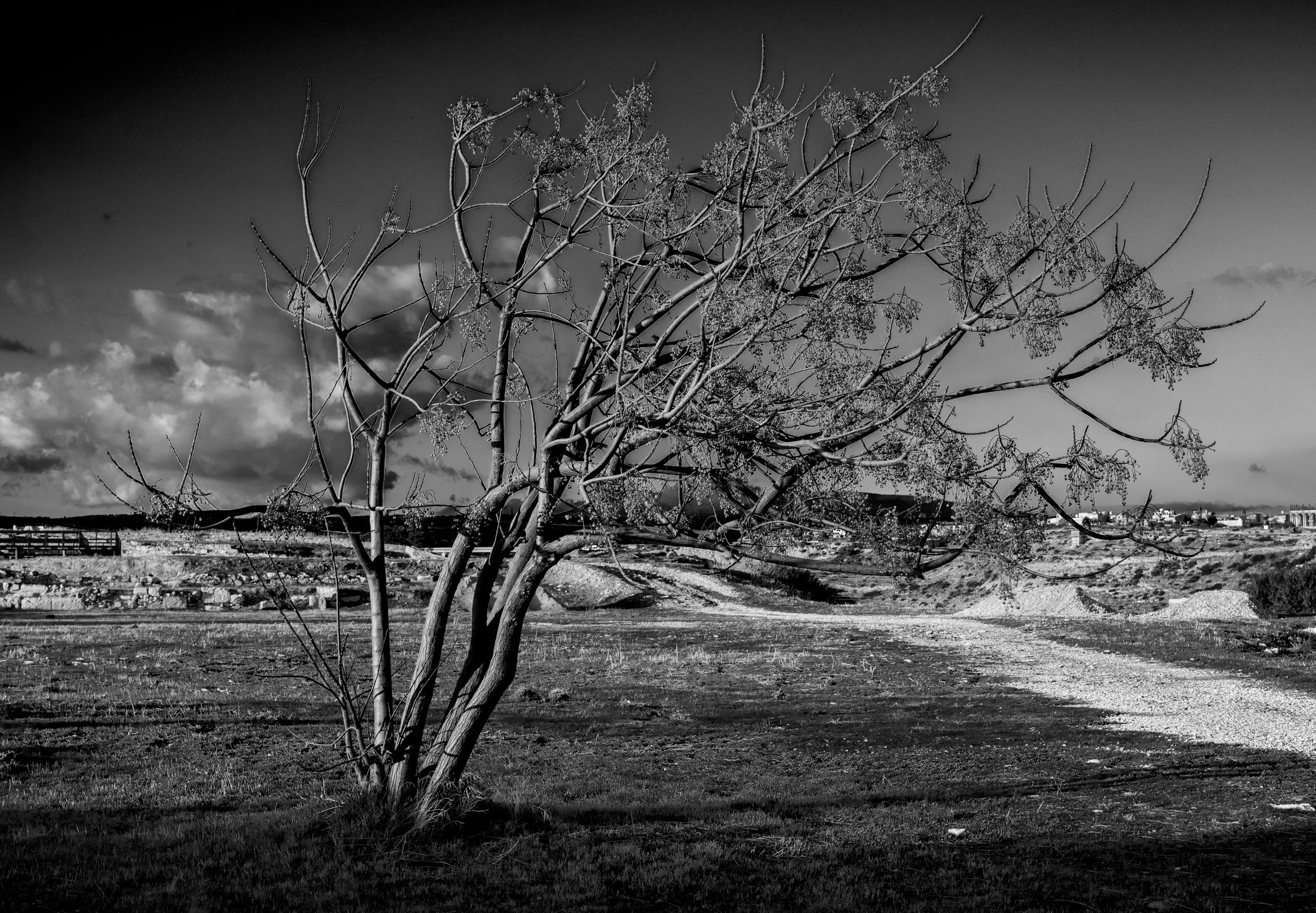 Кипр (январь 2018). Фотограф Сергей Танков