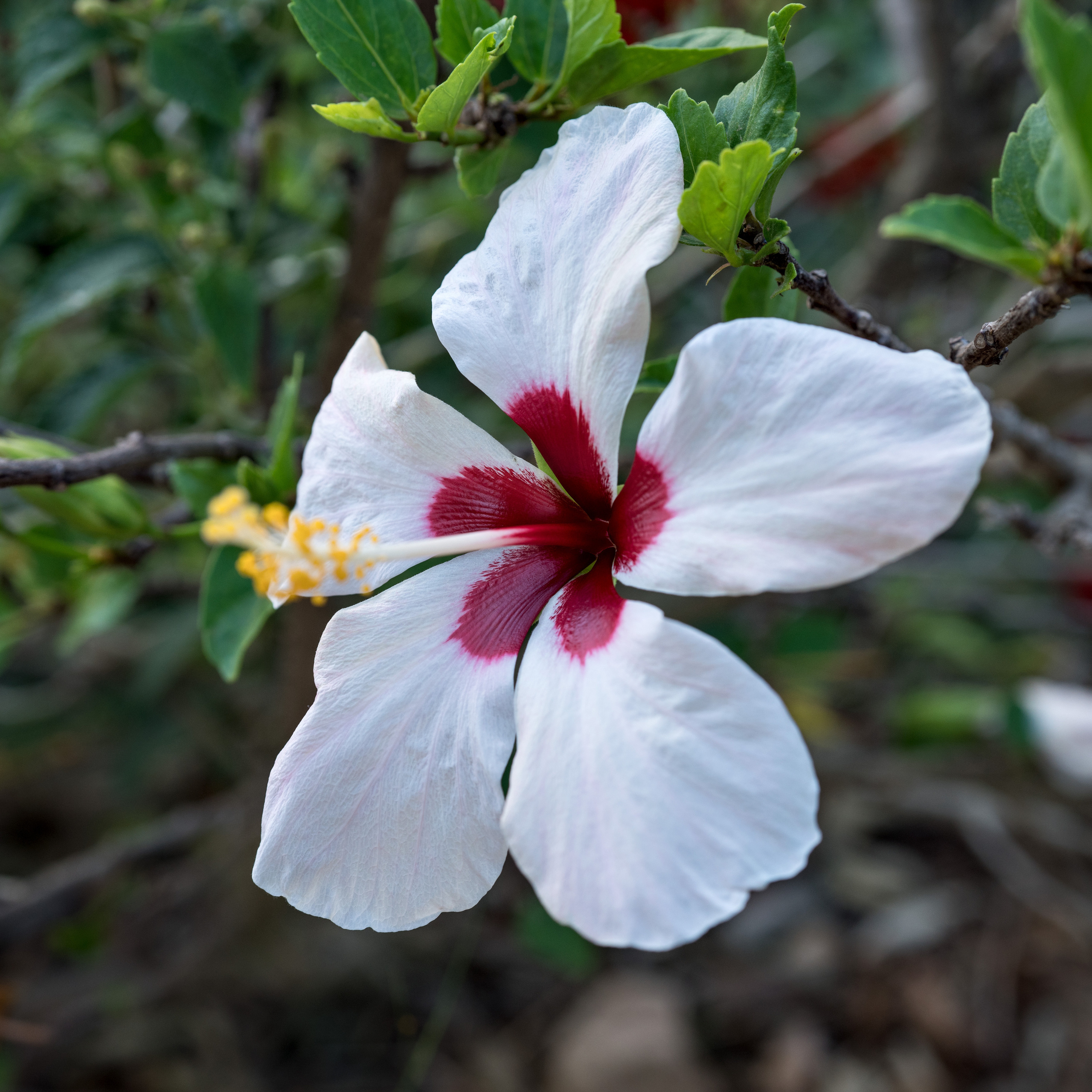 Майорка (июль 2018). Фотограф Сергей Танков