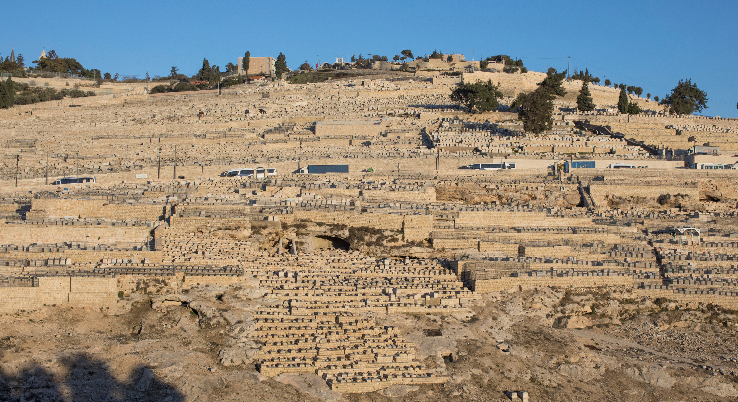 Израиль (январь 2017). Фотограф Сергей Танков