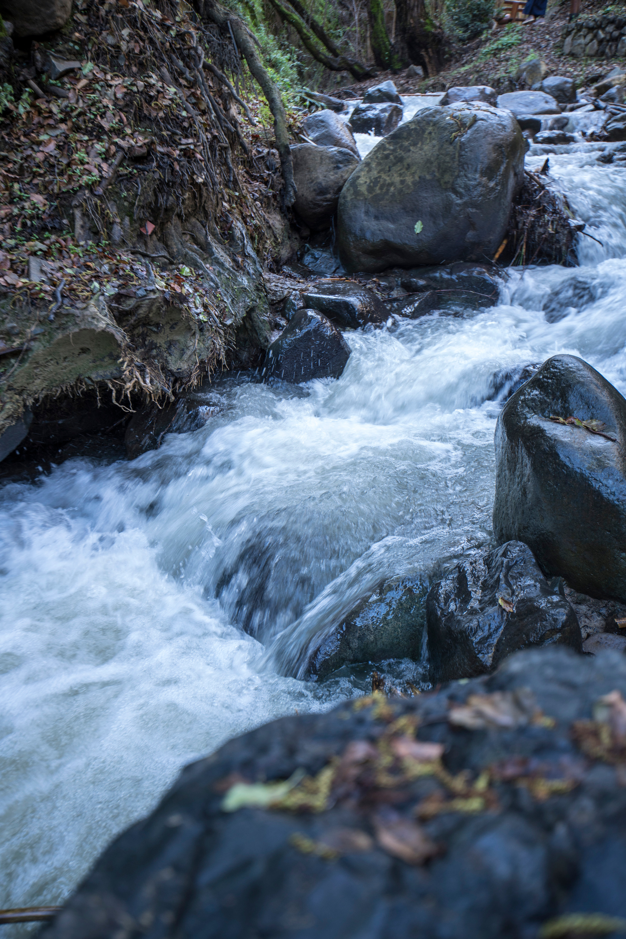 Кипр (январь 2018). Фотограф Сергей Танков