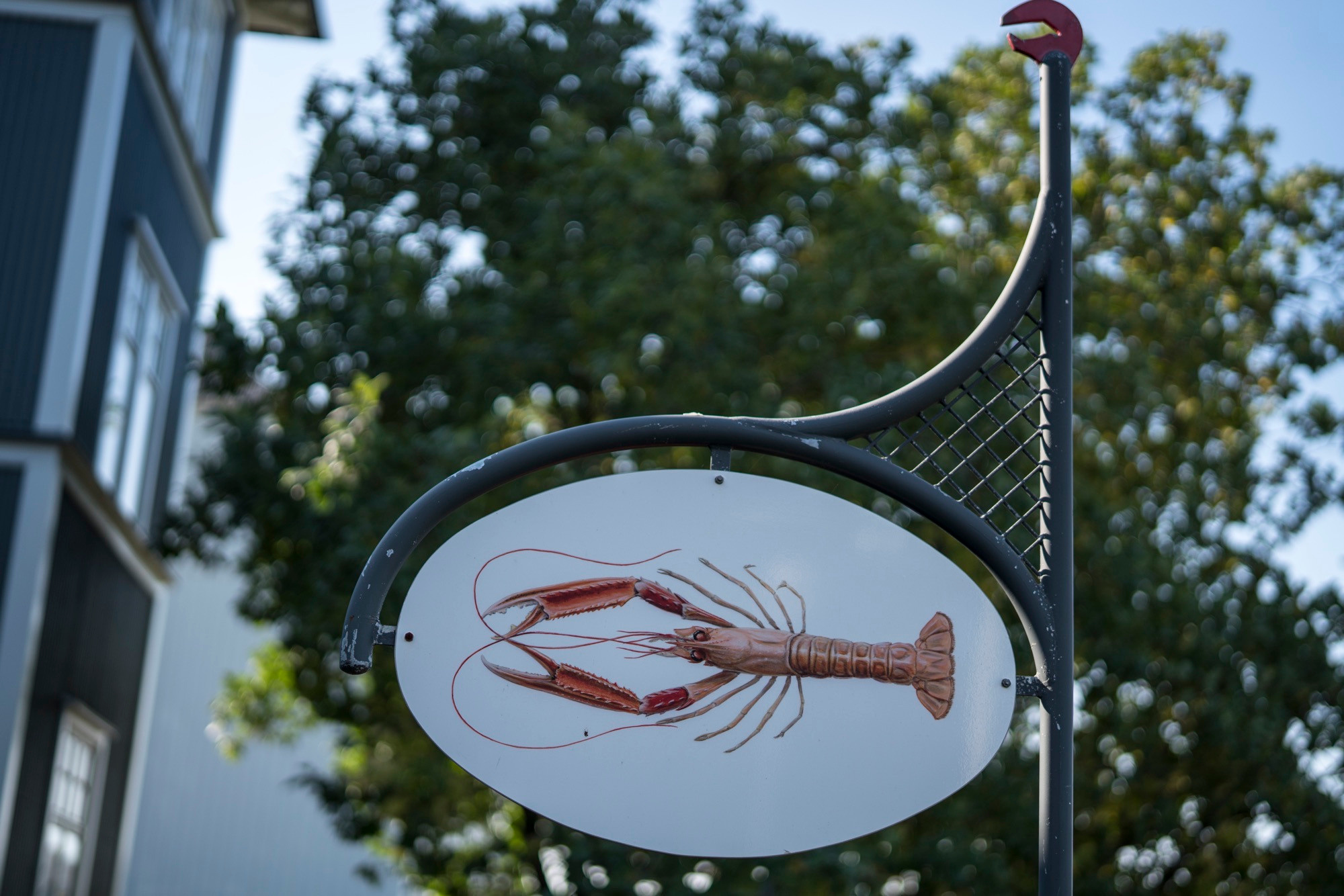 Исландия (август 2018). Фотограф Сергей Танков