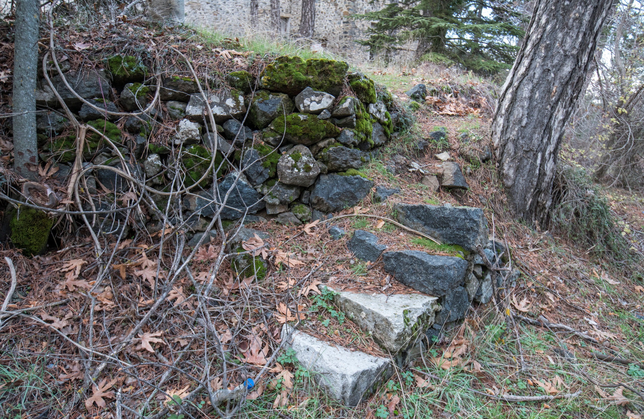 Кипр (январь 2018). Фотограф Сергей Танков