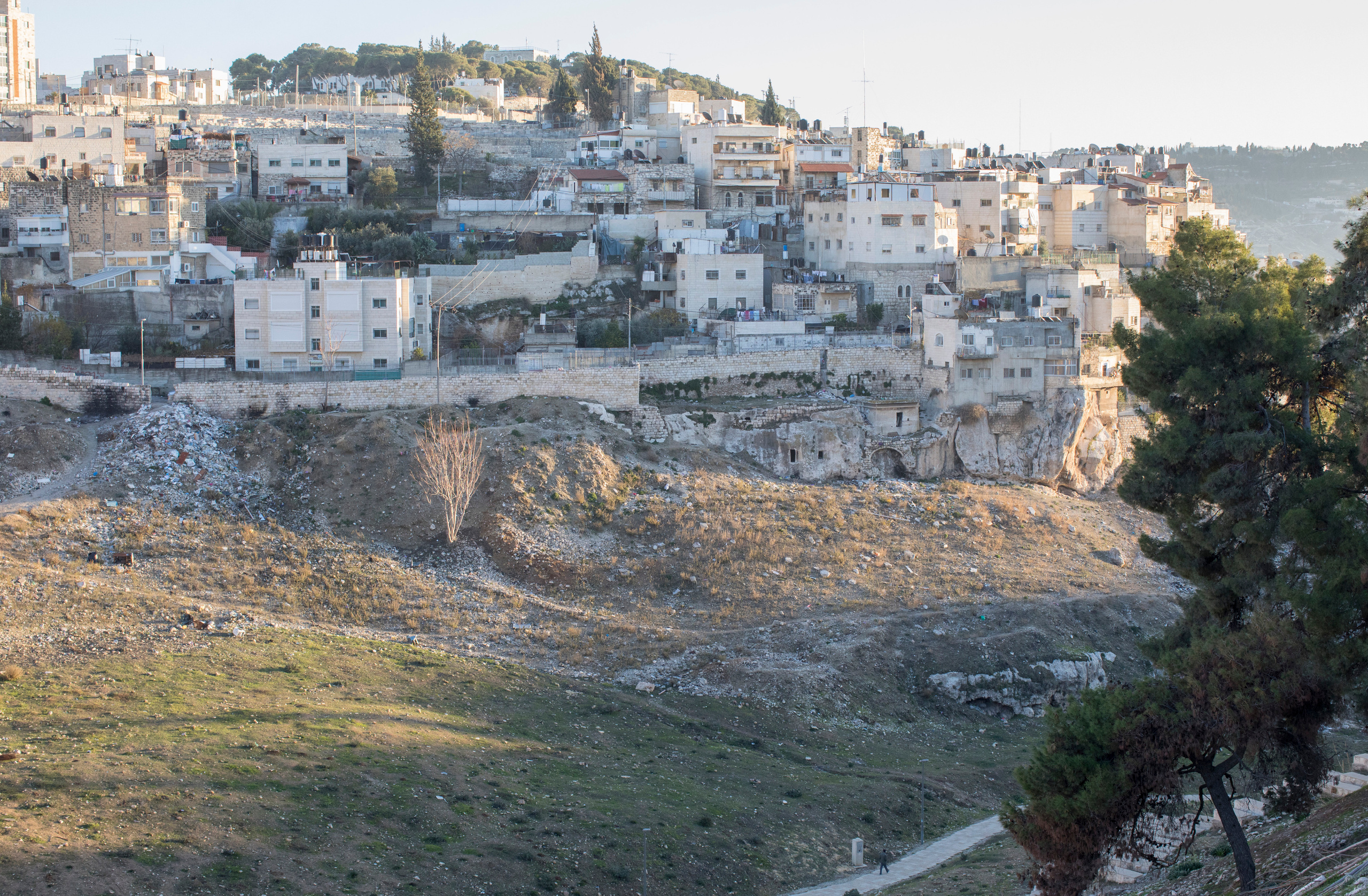 Израиль (январь 2017). Фотограф Сергей Танков