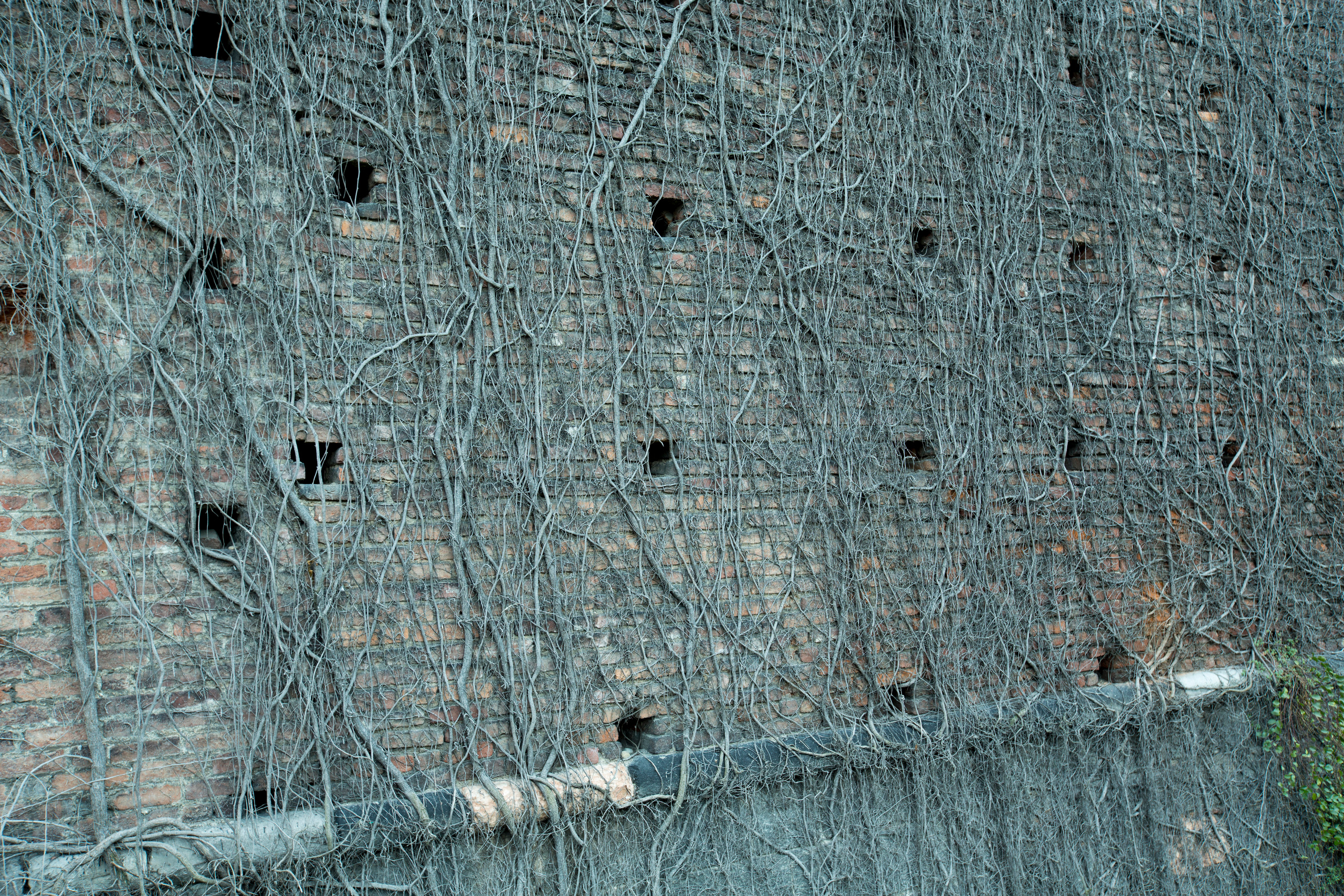 Милан (ноябрь 2014). Фотограф Сергей Танков