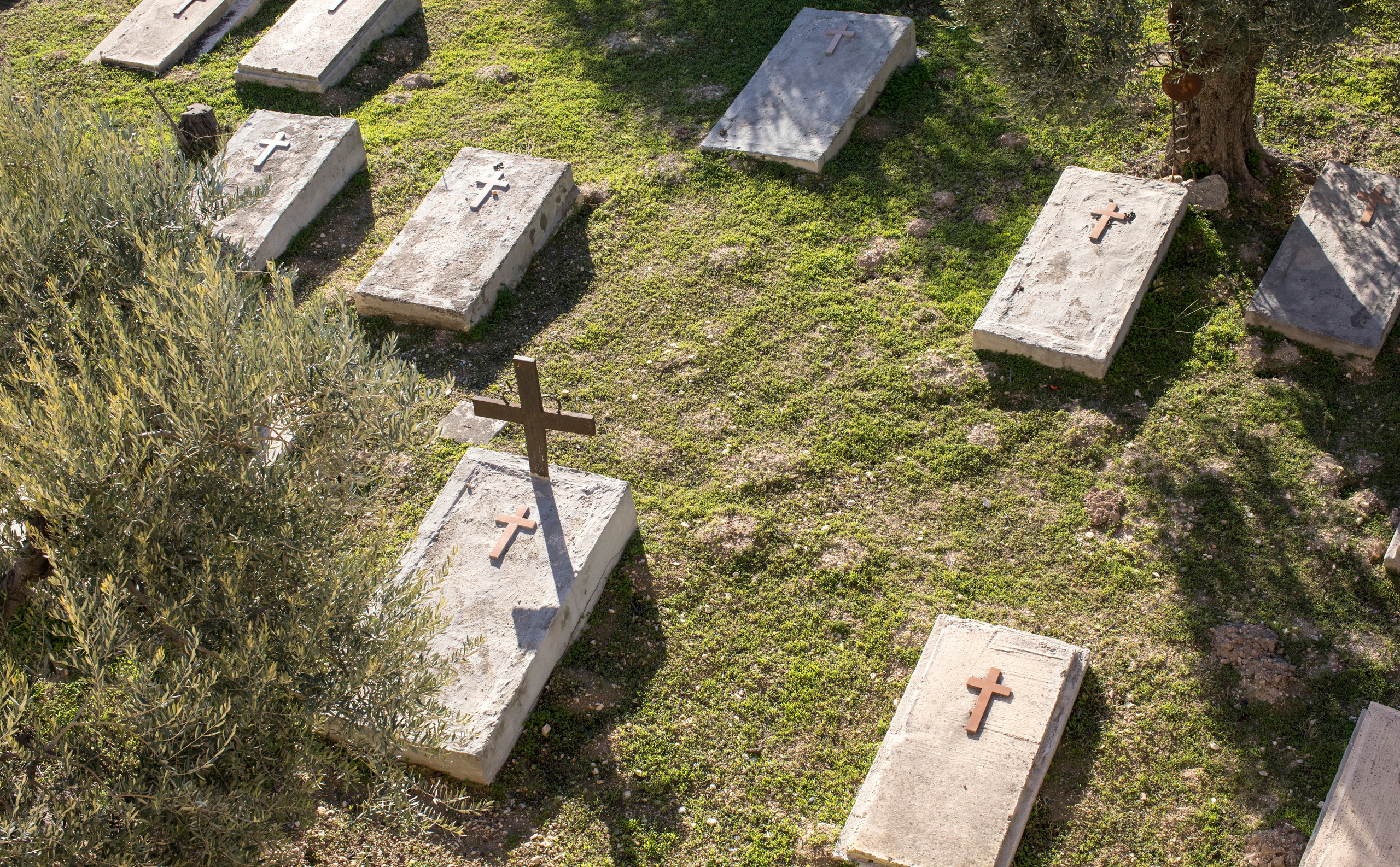 Израиль (январь 2017). Фотограф Сергей Танков