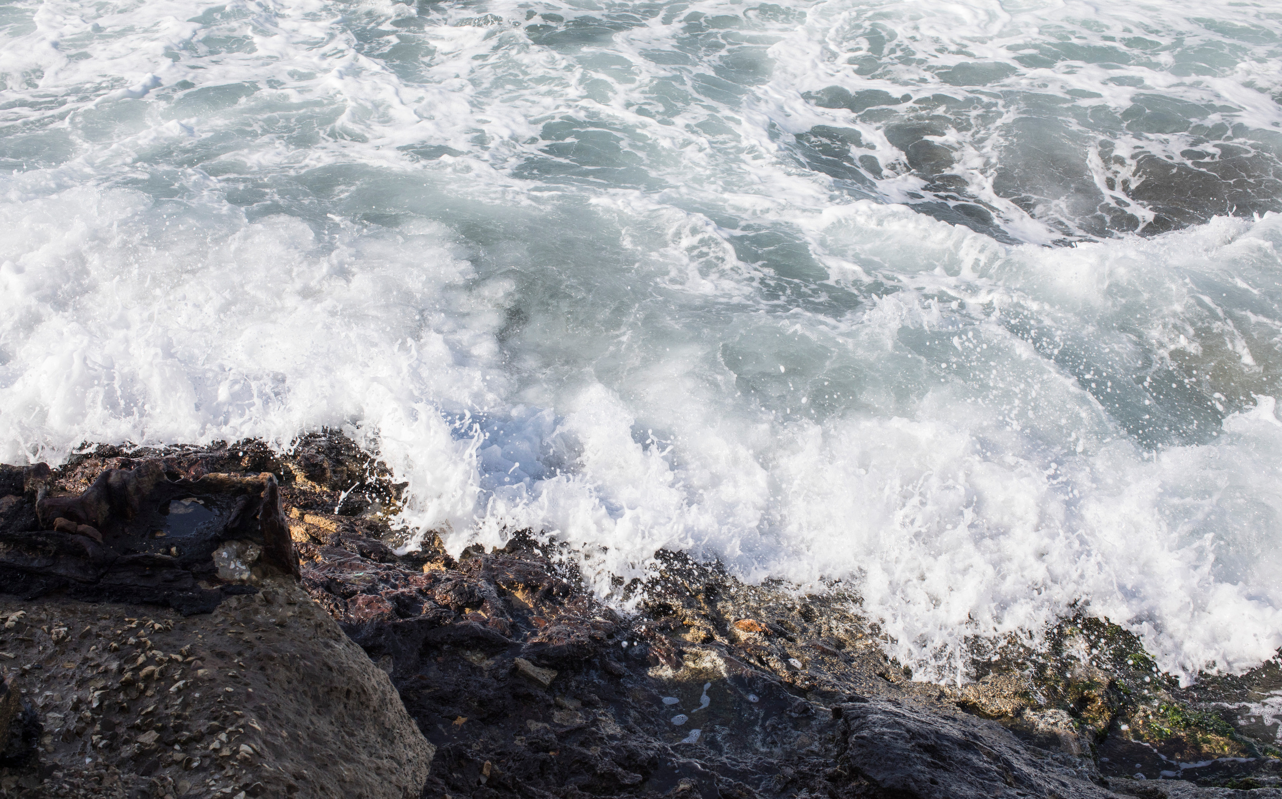 Израиль (январь 2017). Фотограф Сергей Танков