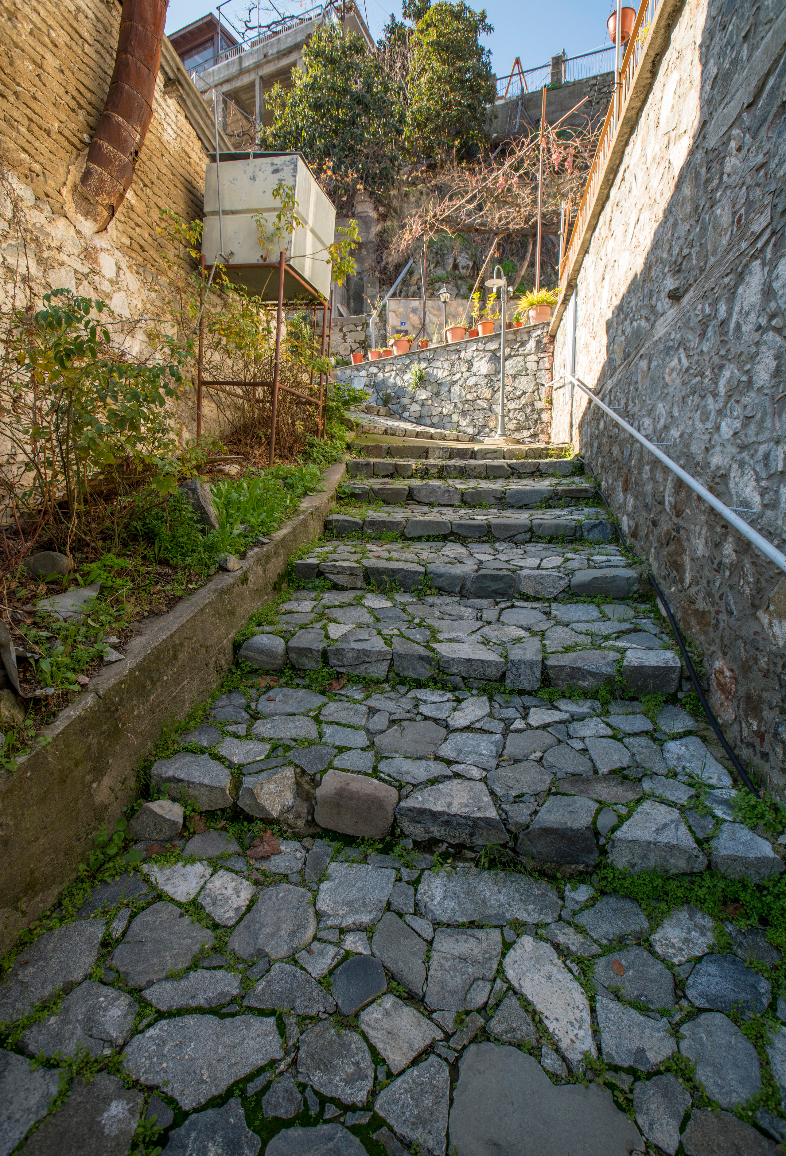 Кипр (январь 2018). Фотограф Сергей Танков