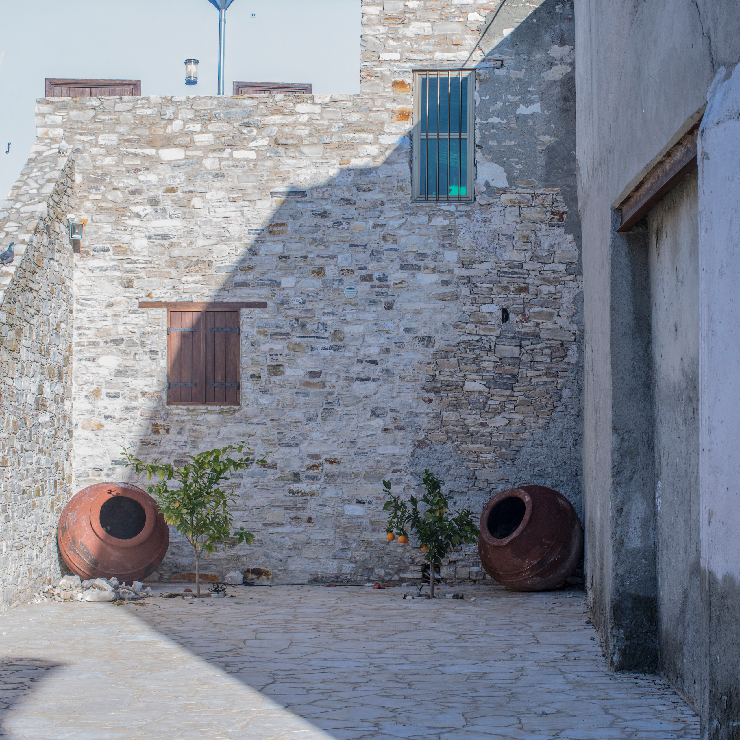 Кипр (январь 2018). Фотограф Сергей Танков